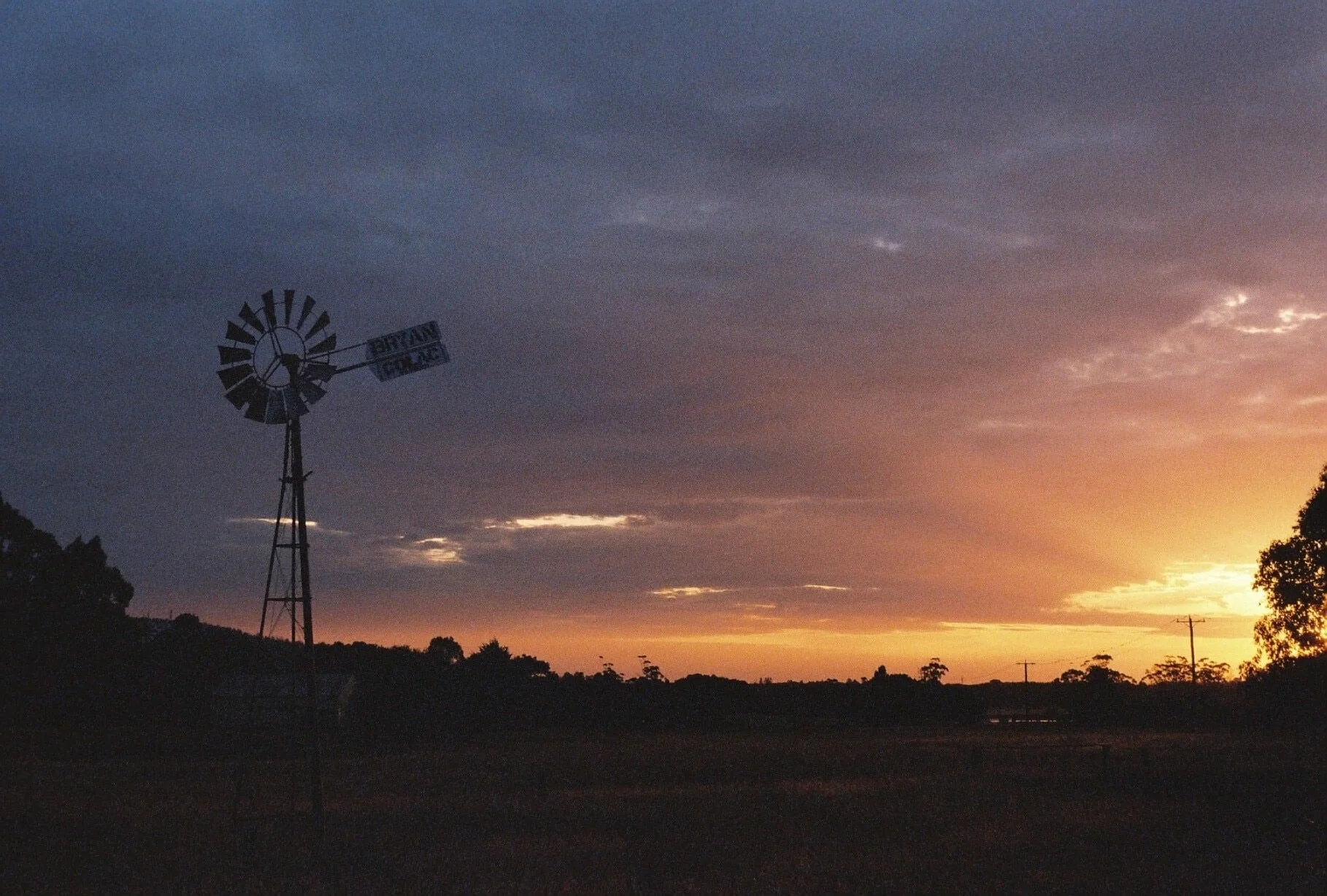 47320036.jpg