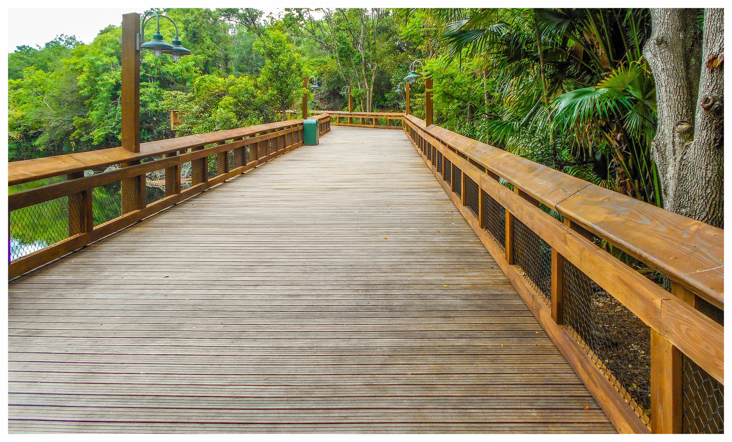 Boardwalk Design & Construction — Backwoods Bridges Custom Timber