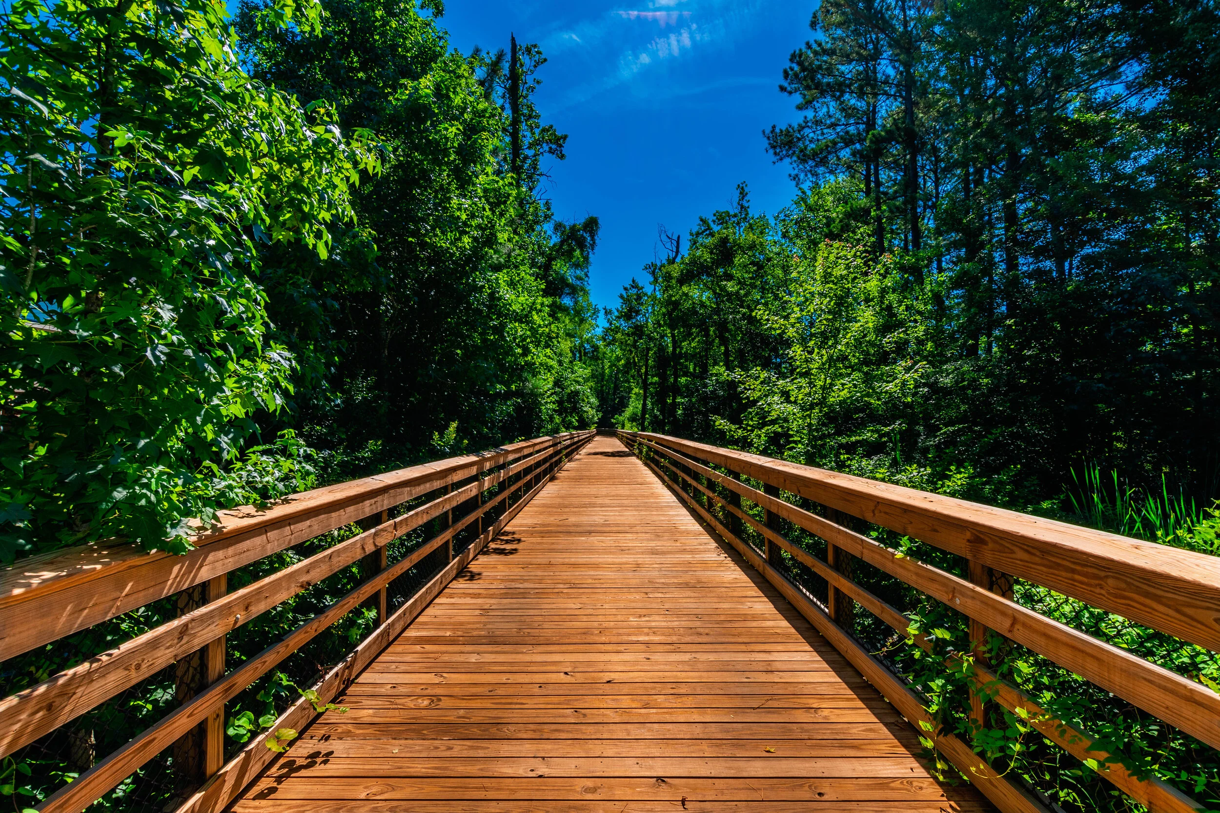 Boardwalk Design & Construction — Backwoods Bridges Custom Timber