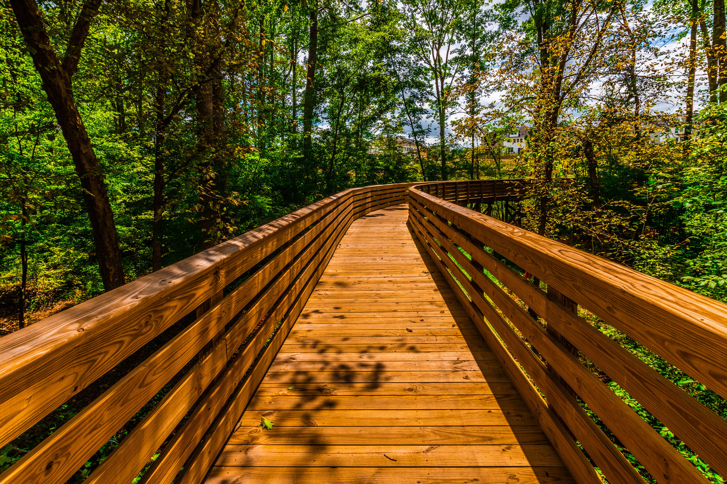 Boardwalk Design & Construction — Backwoods Bridges Custom Timber