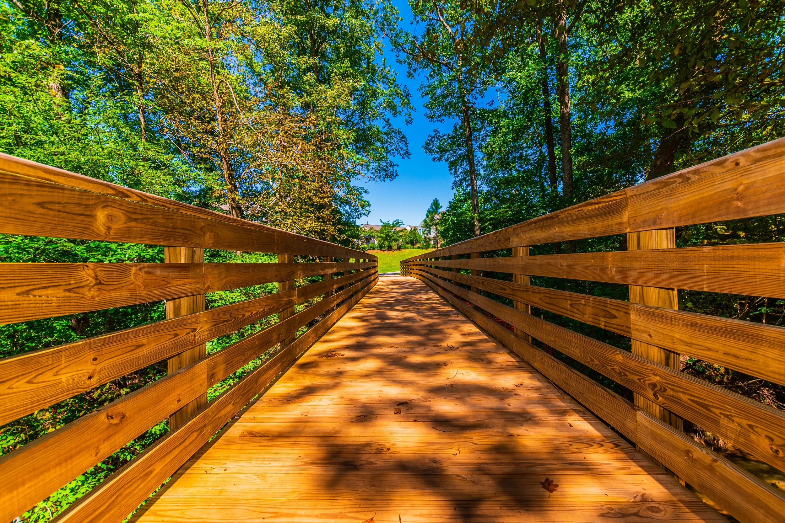 Boardwalk Design & Construction — Backwoods Bridges Custom Timber