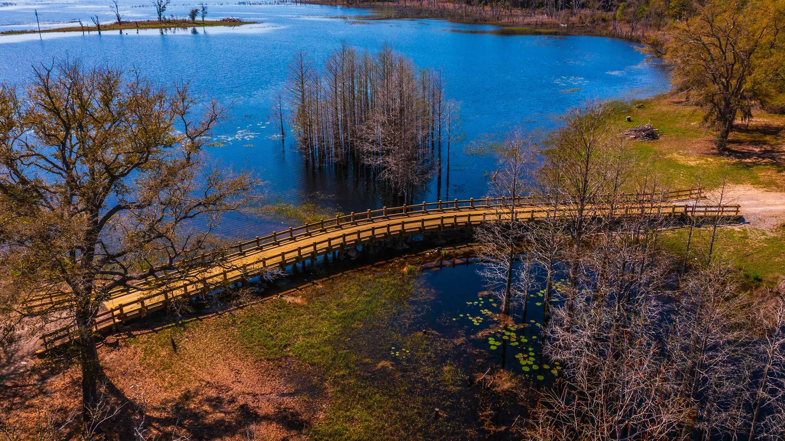 bridge contractor