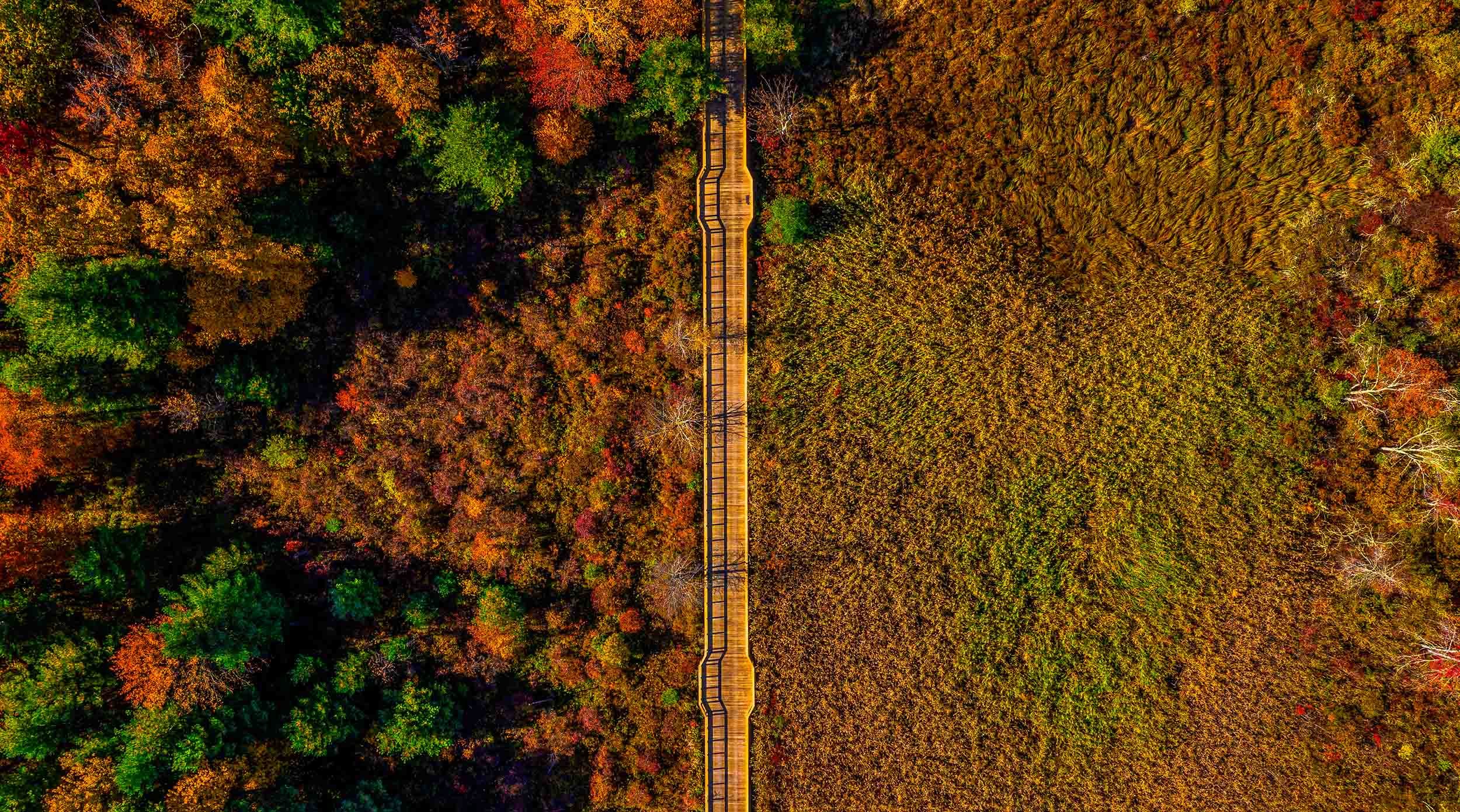 residential bridge