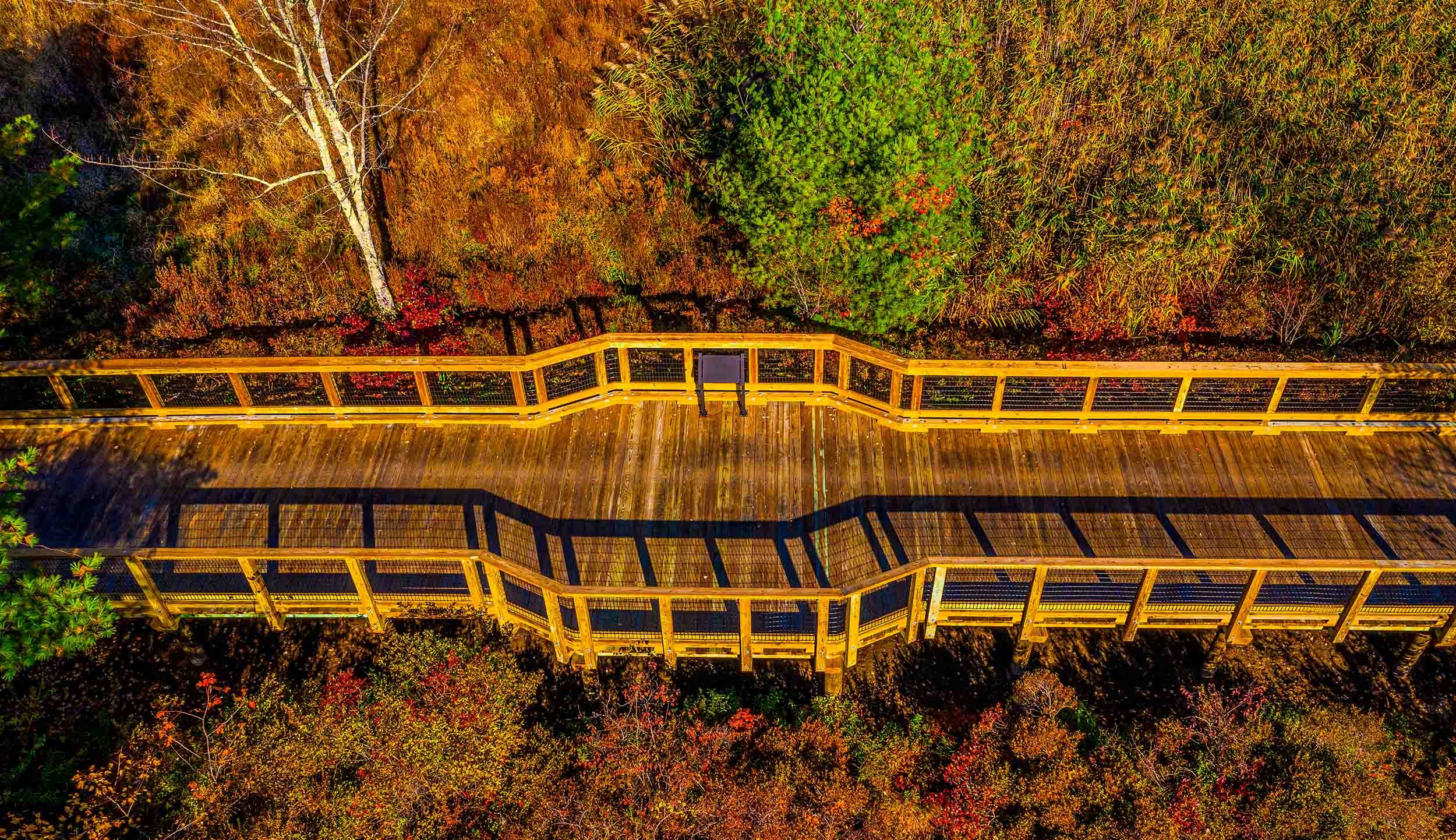 wooden bridge