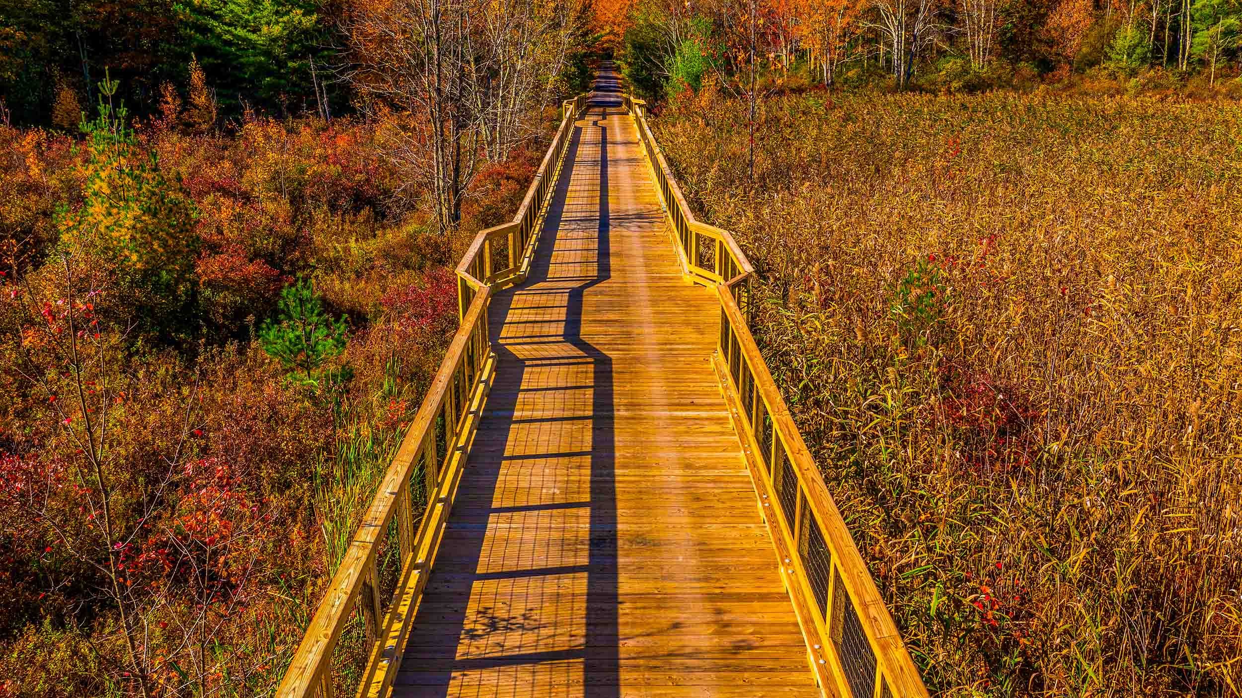 residential traffic bridge