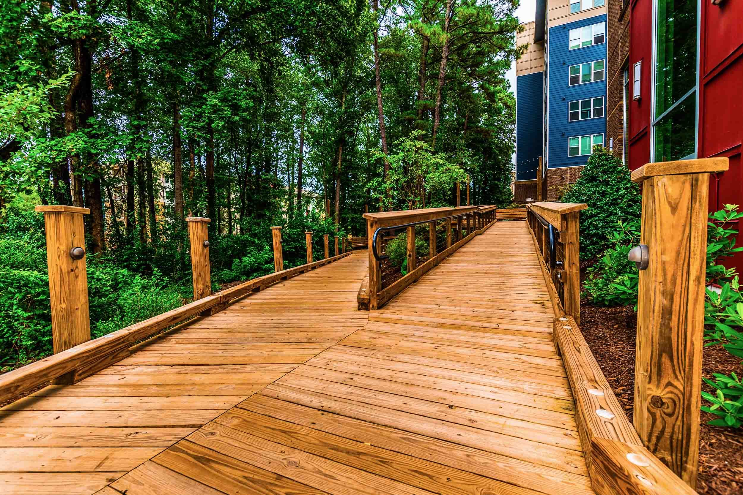 nature trail bridge