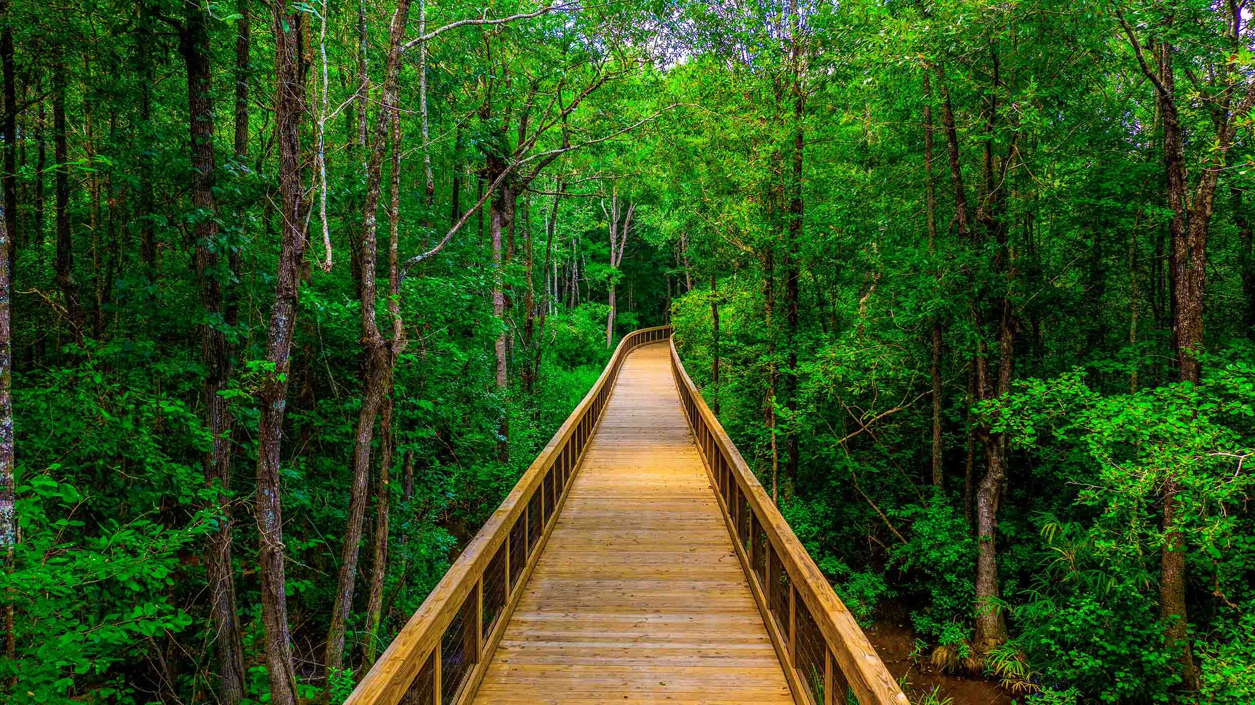 nature trail bridge construction