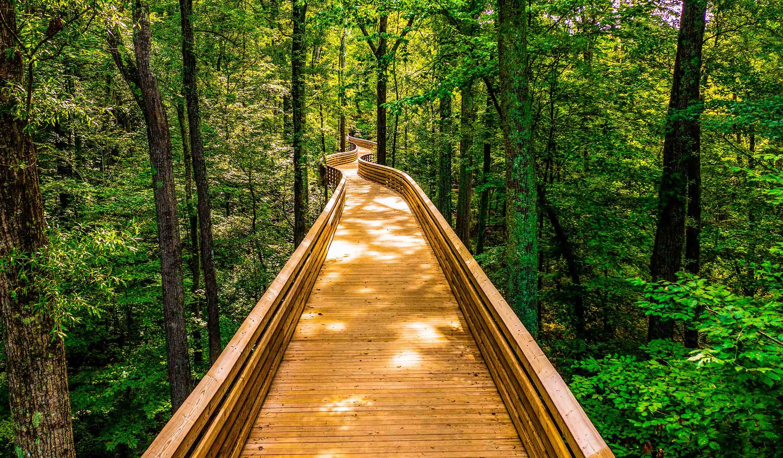 pedestrian wooden bridge