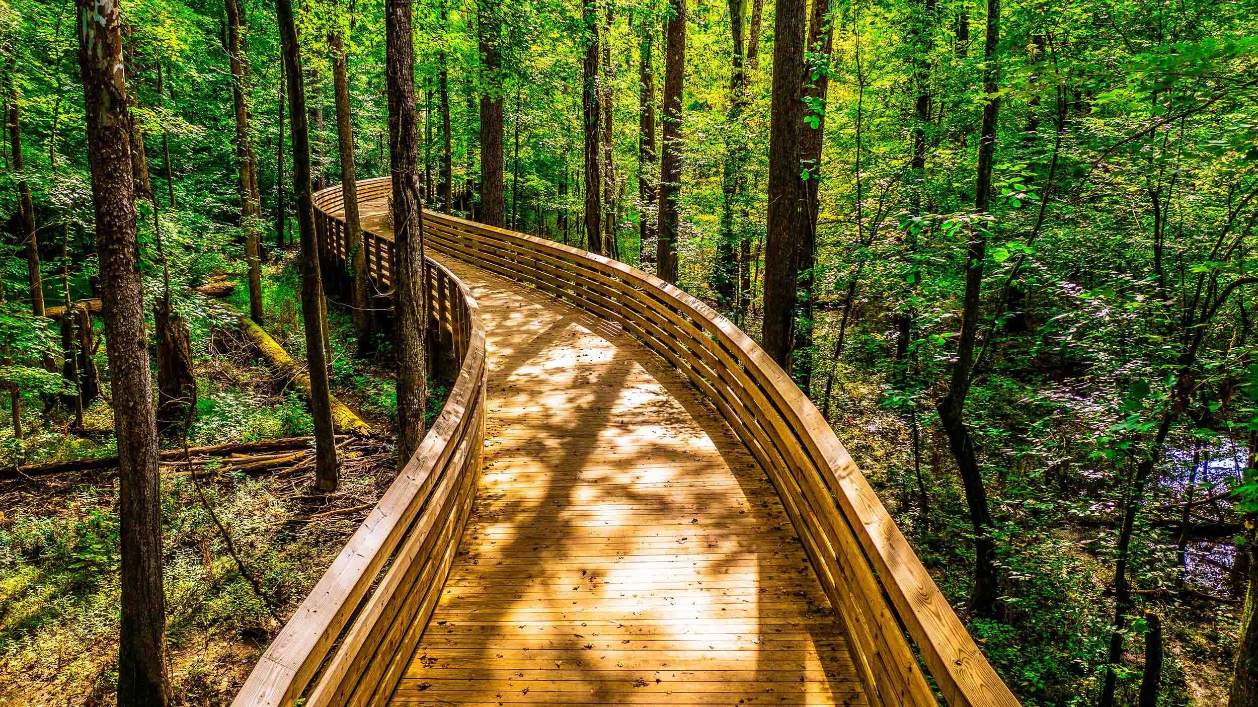 pedestrian bridge design