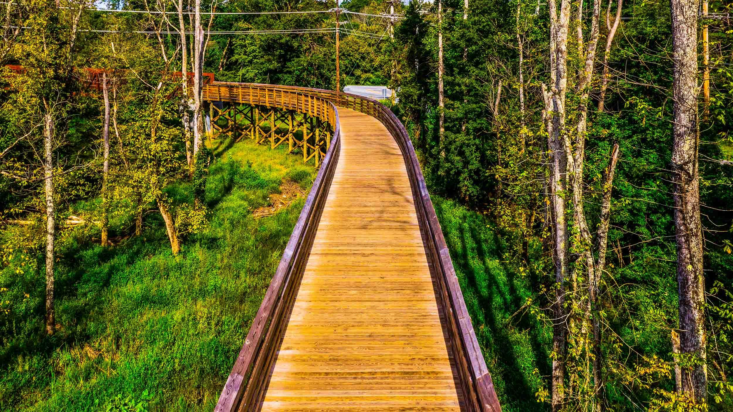 pedestrian timber bridge