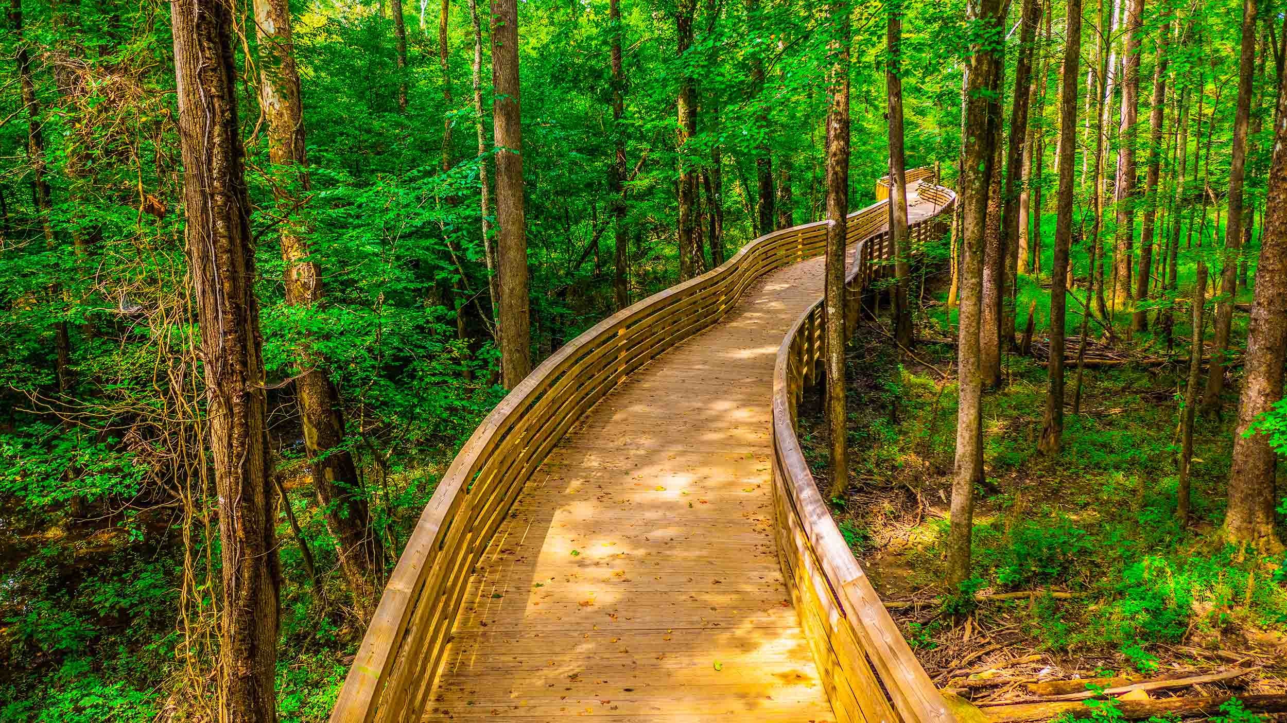 pedestrian bridge builder