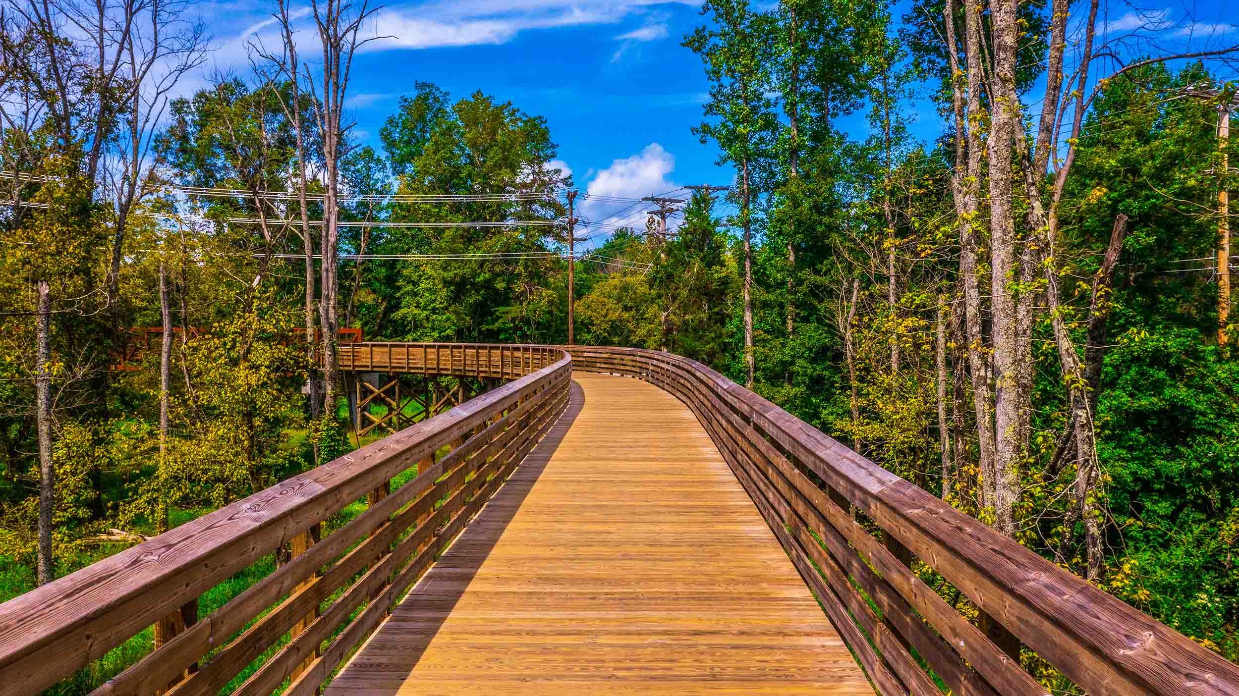 wood bridge