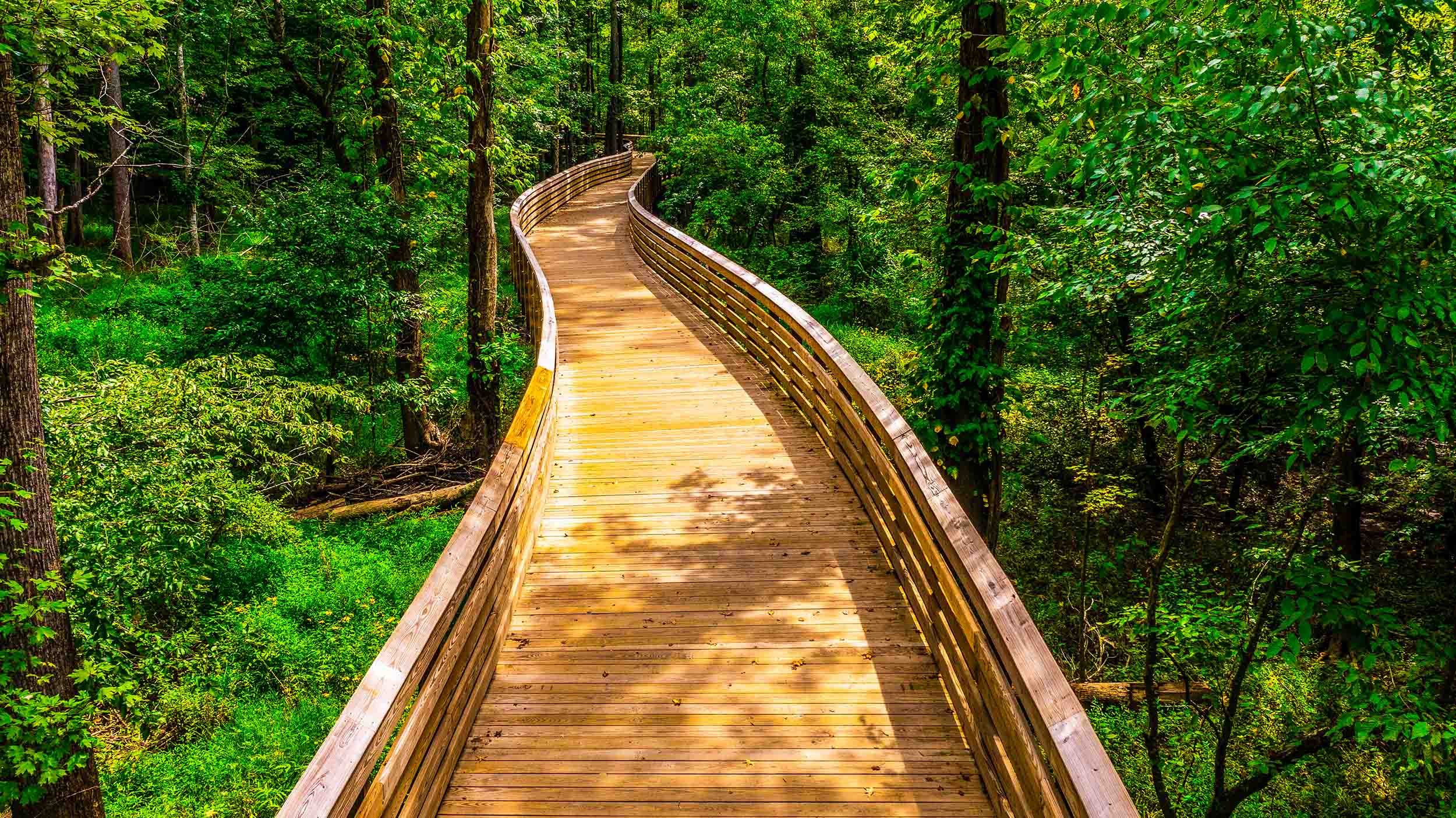 nature trail bridge company