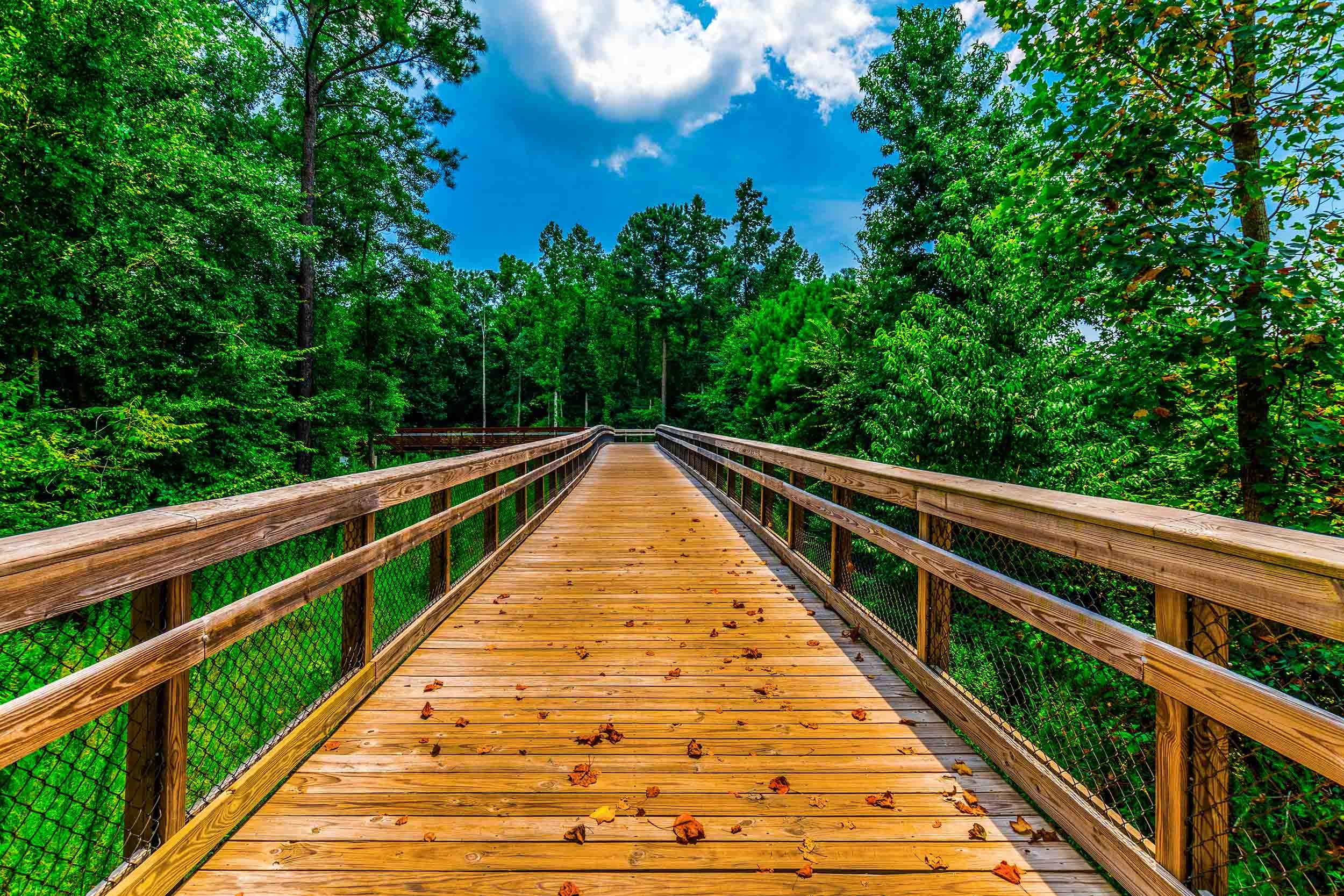 wood bridge