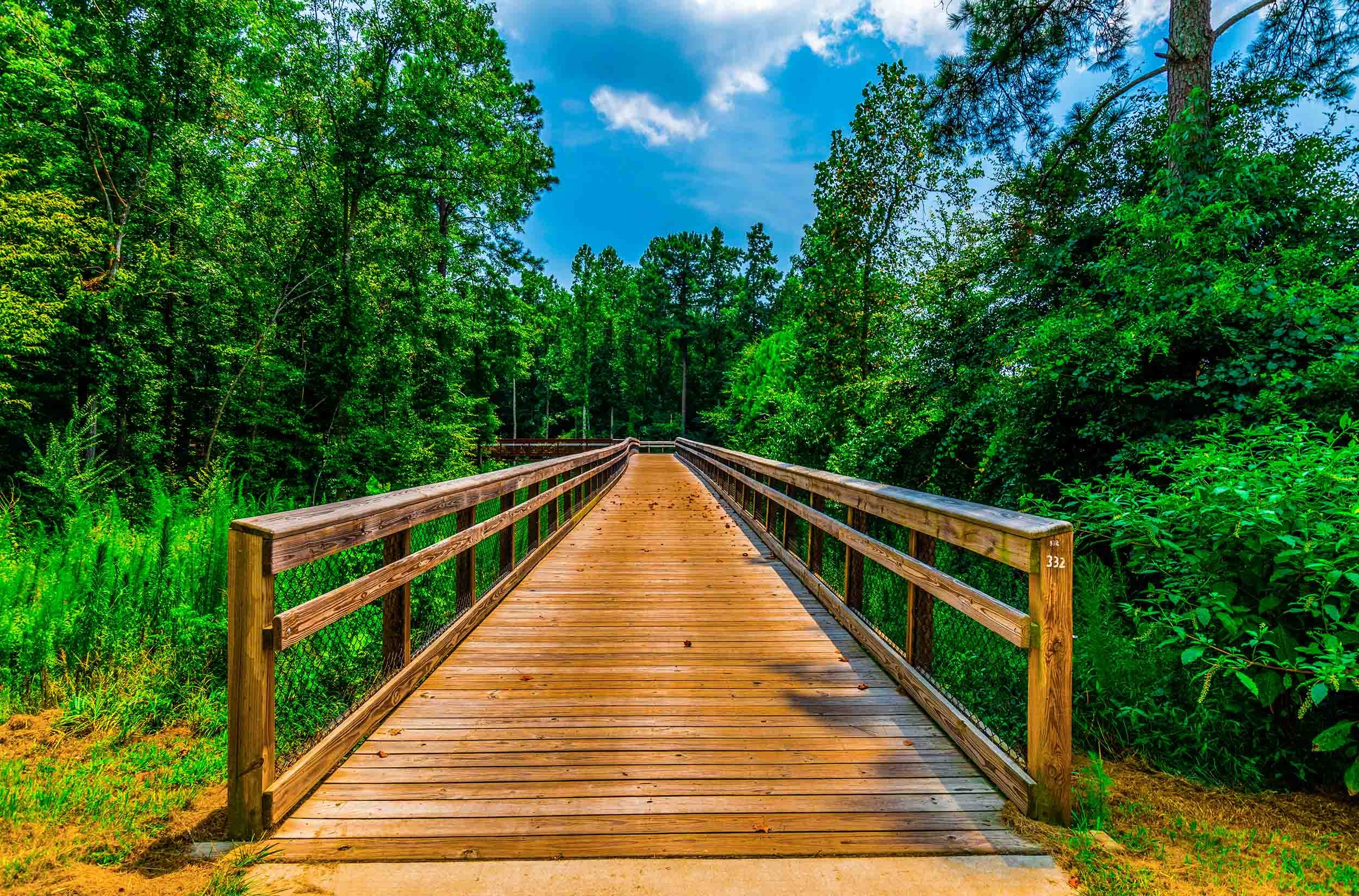 pedestrian wood bridge