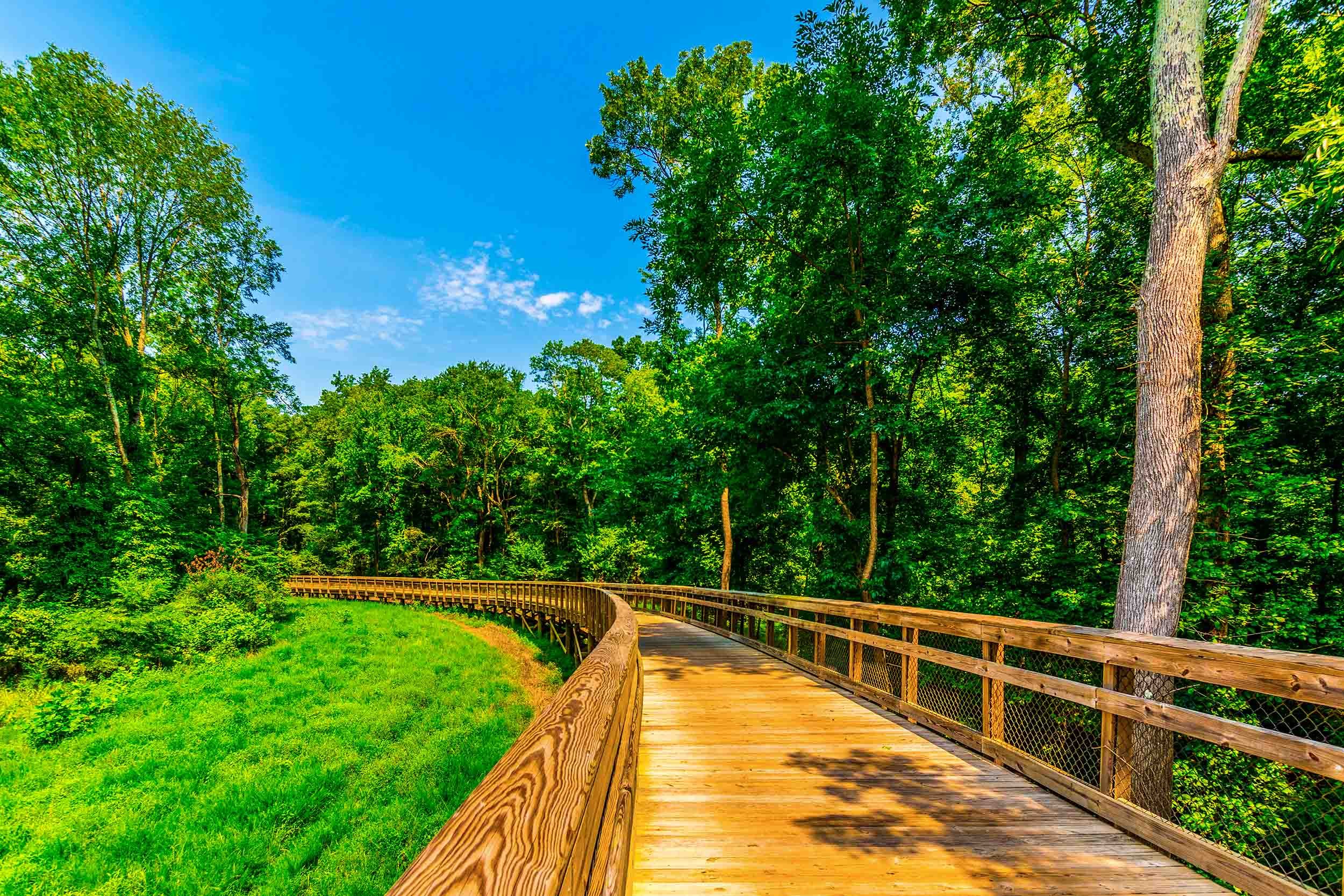 nature trail timber bridge