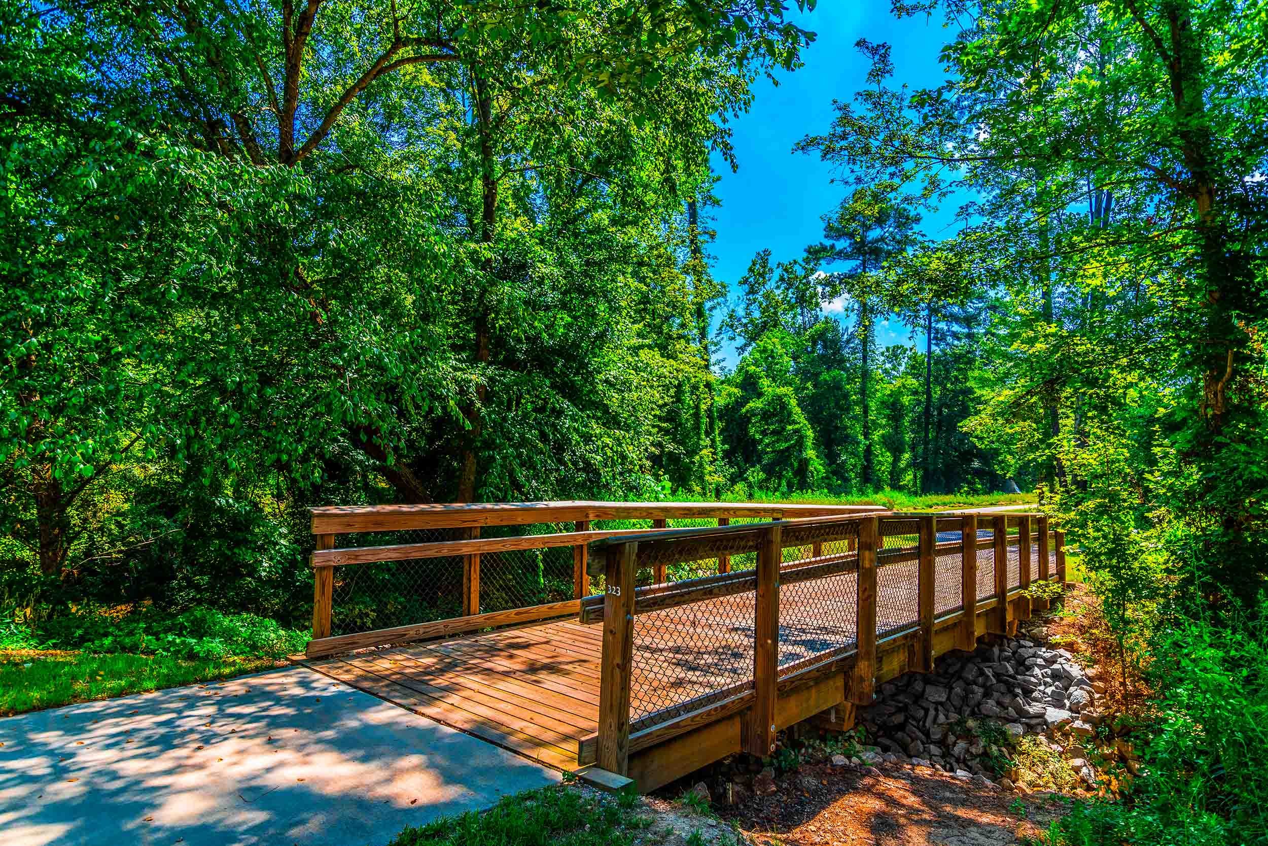 nature trail wood bridge