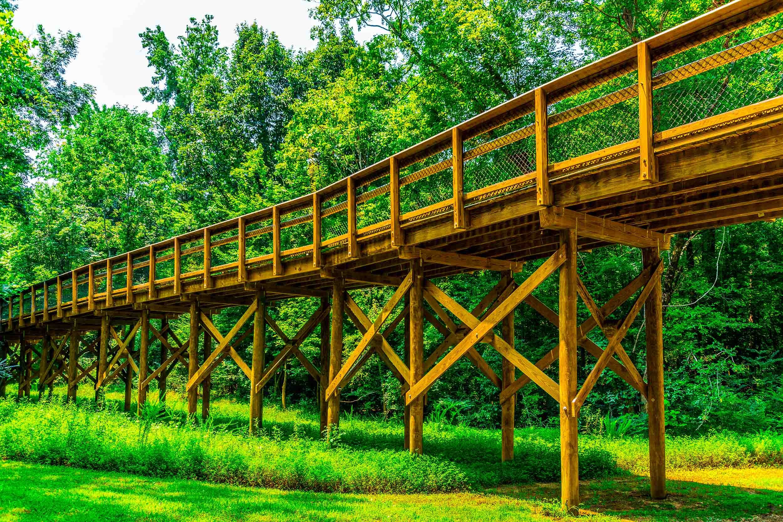 timber bridge