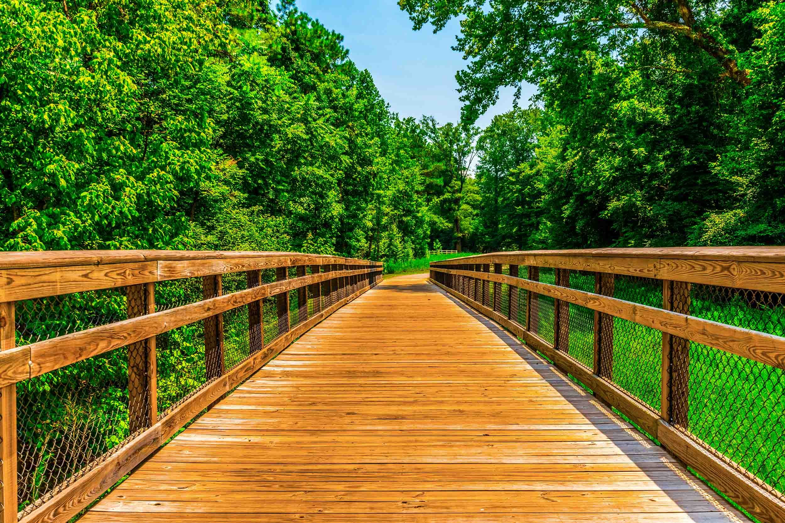 wetland bridge