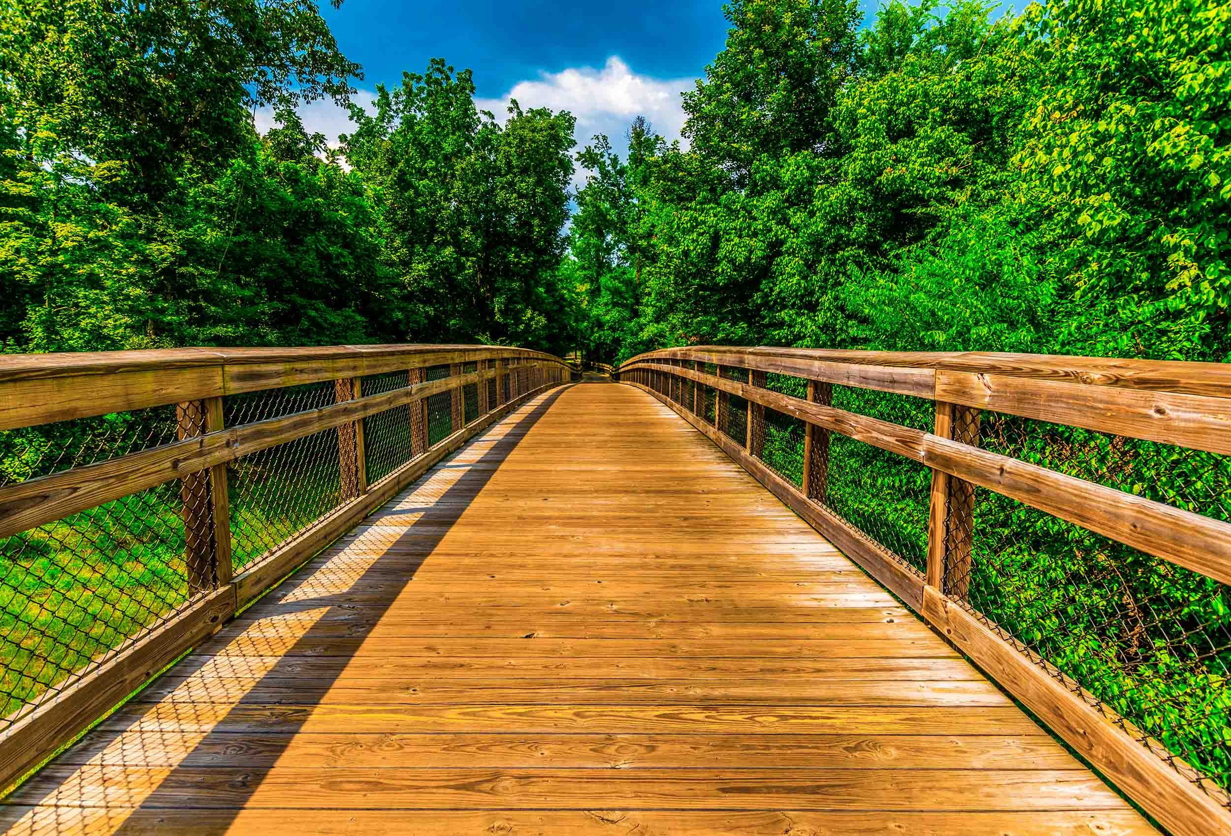 pedestrian timber bridge