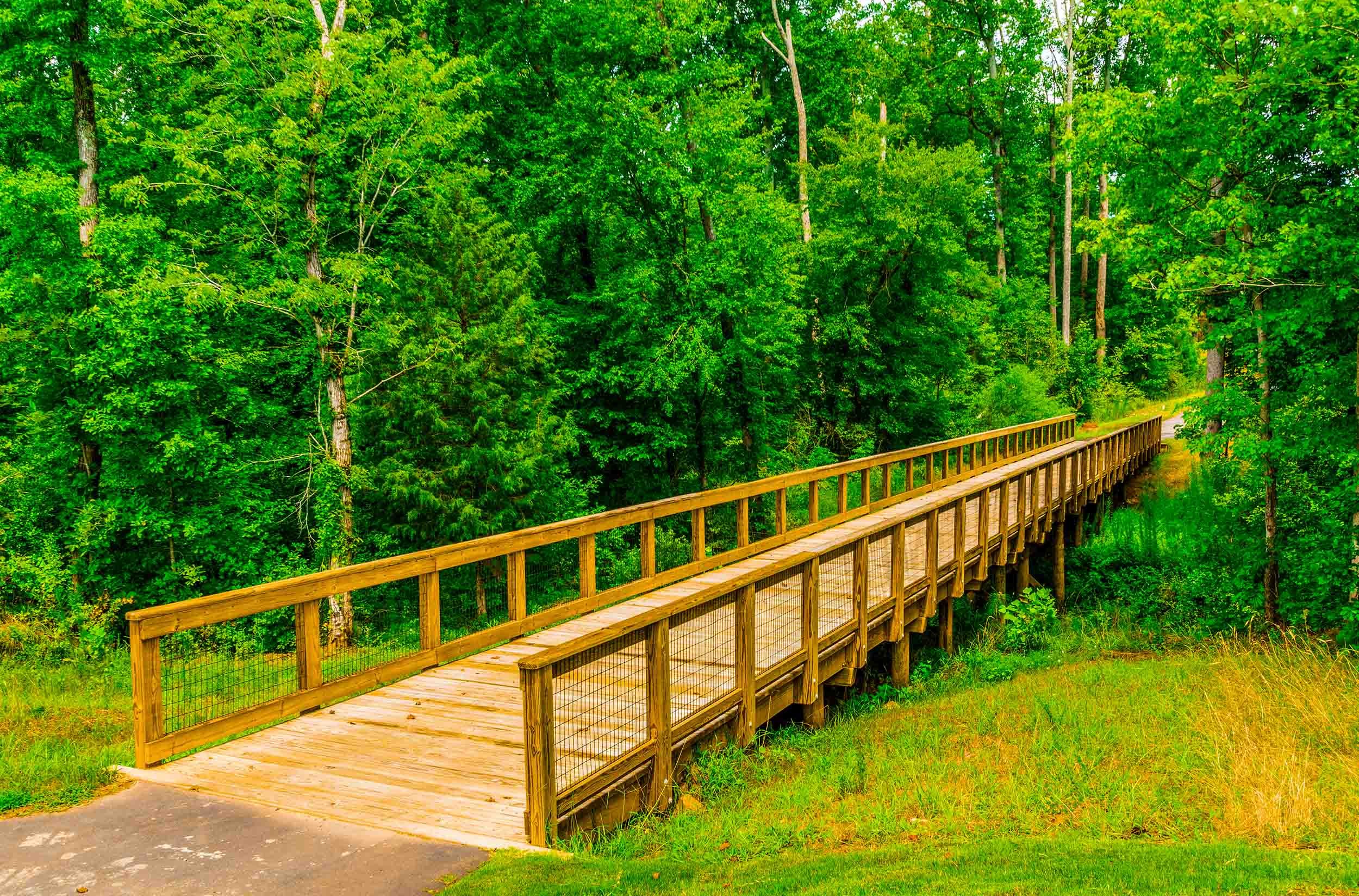 timber bridge