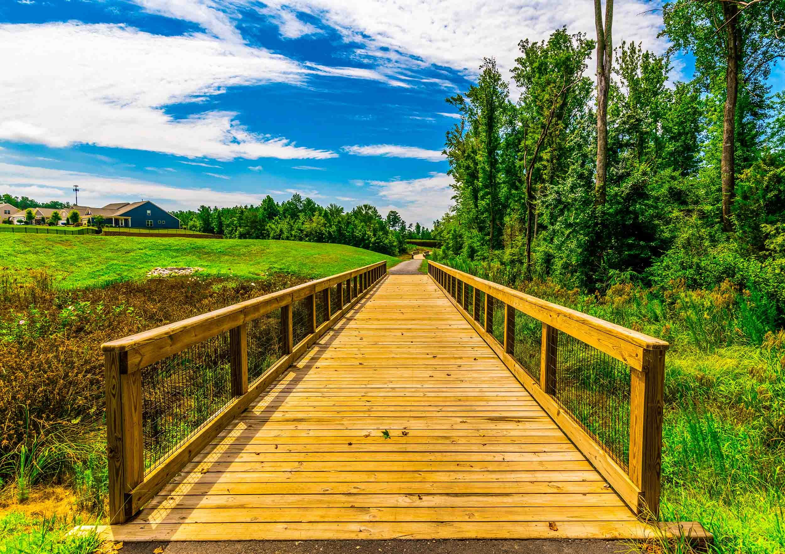 nature trail wood bridge