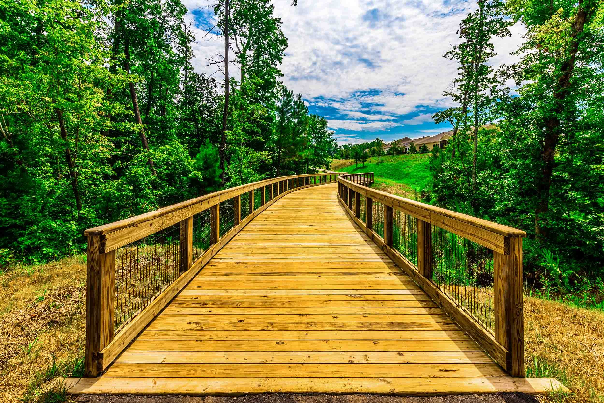 nature trail wooden bridge