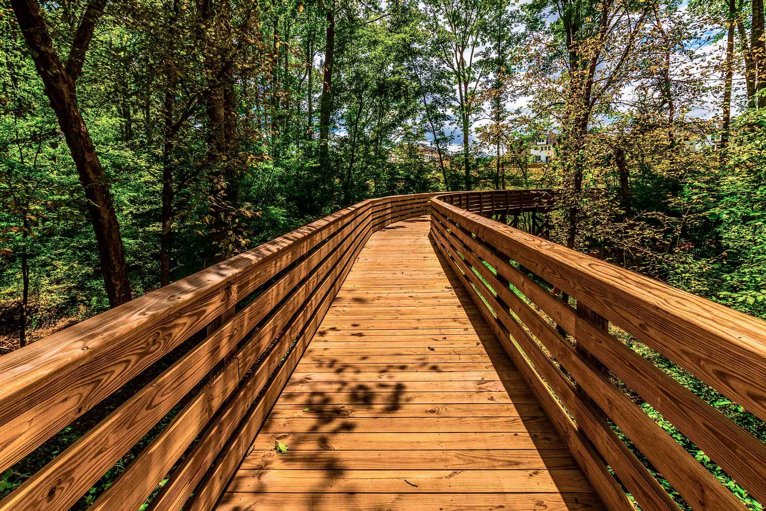 nature trail wood bridge