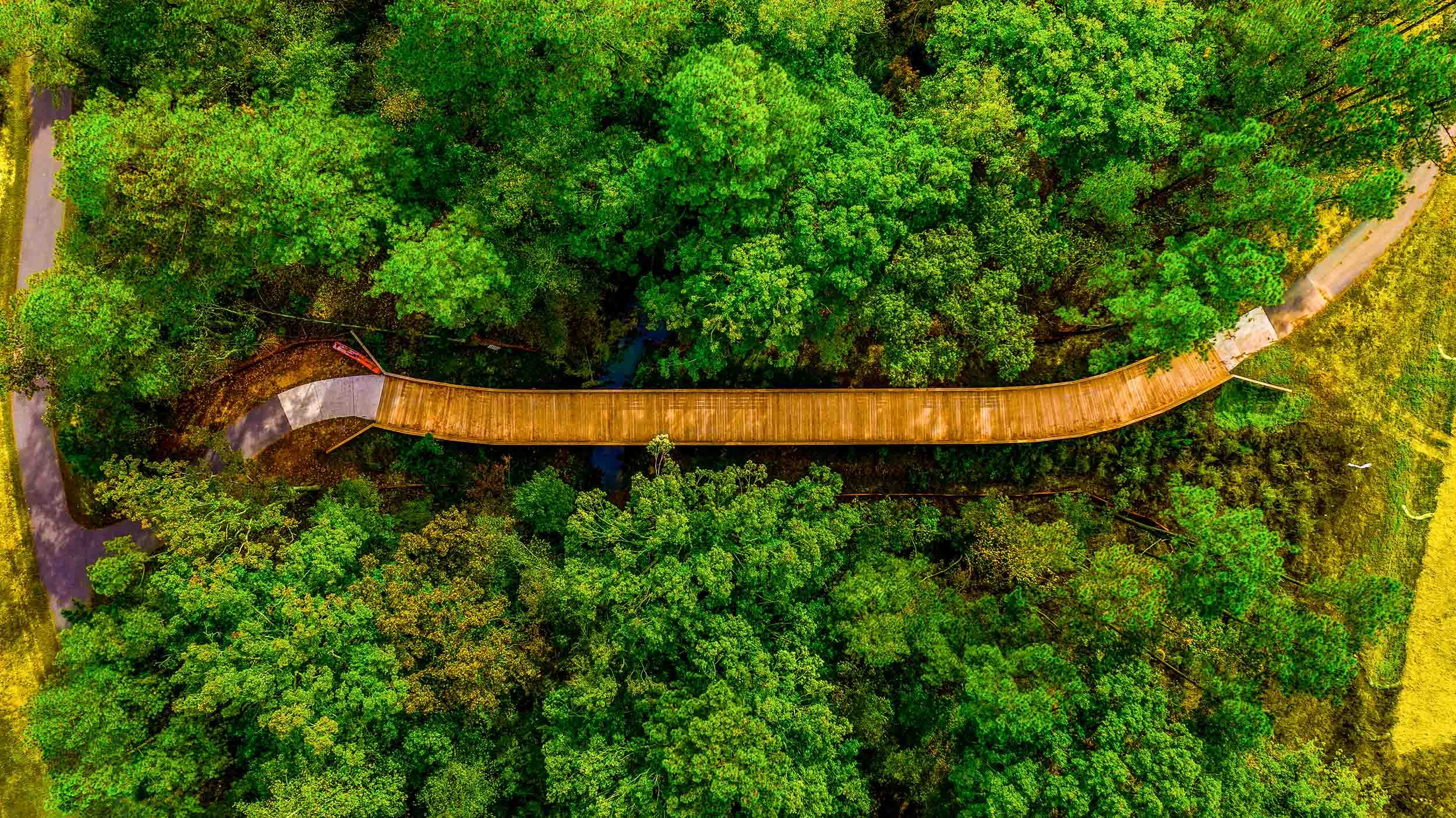 pedestrian wooden bridge