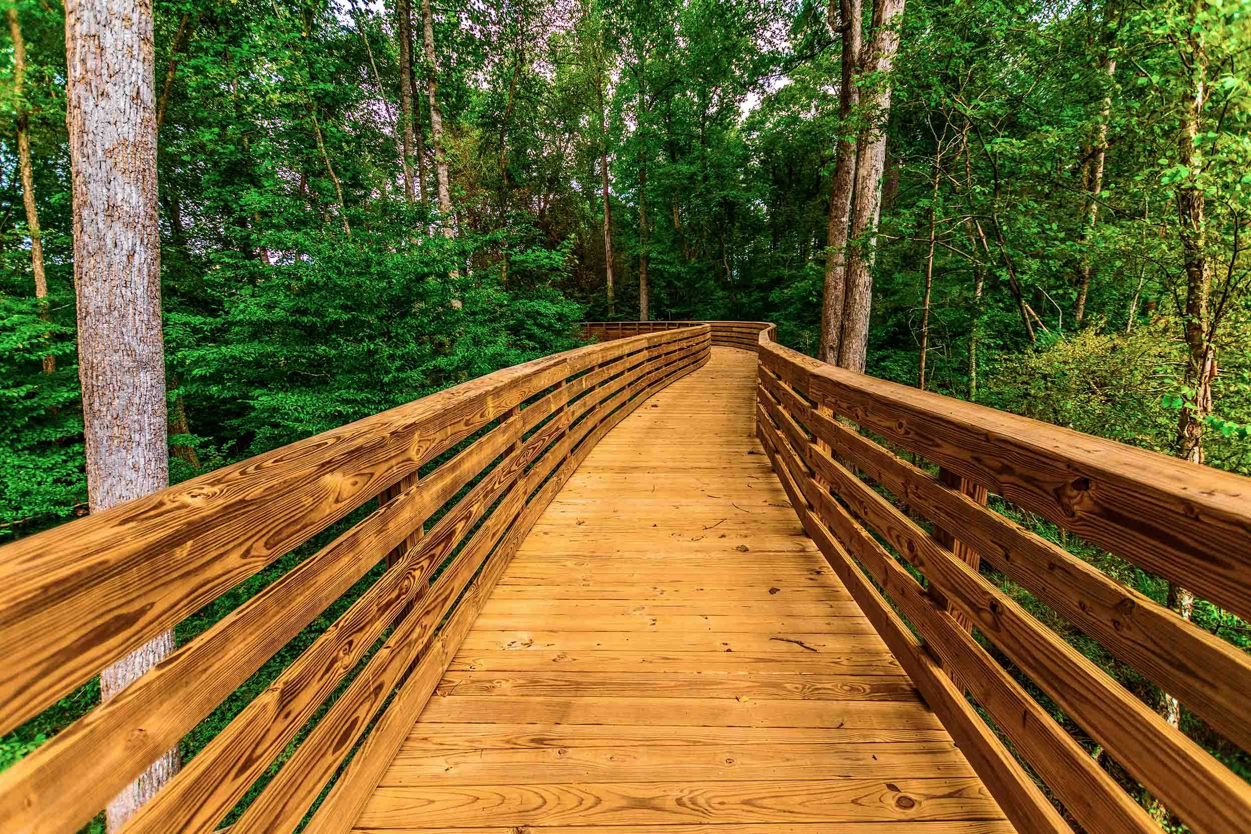 nature trail timber bridge