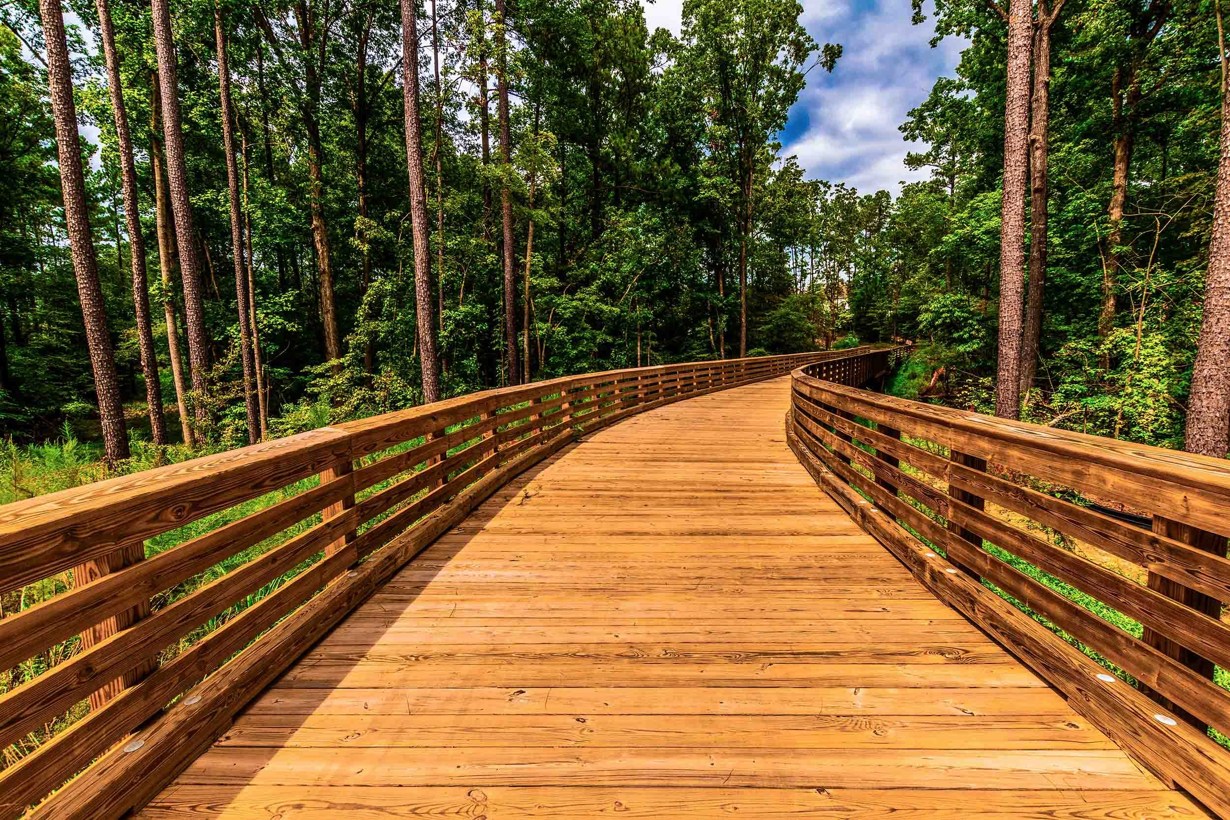 nature trail bridge