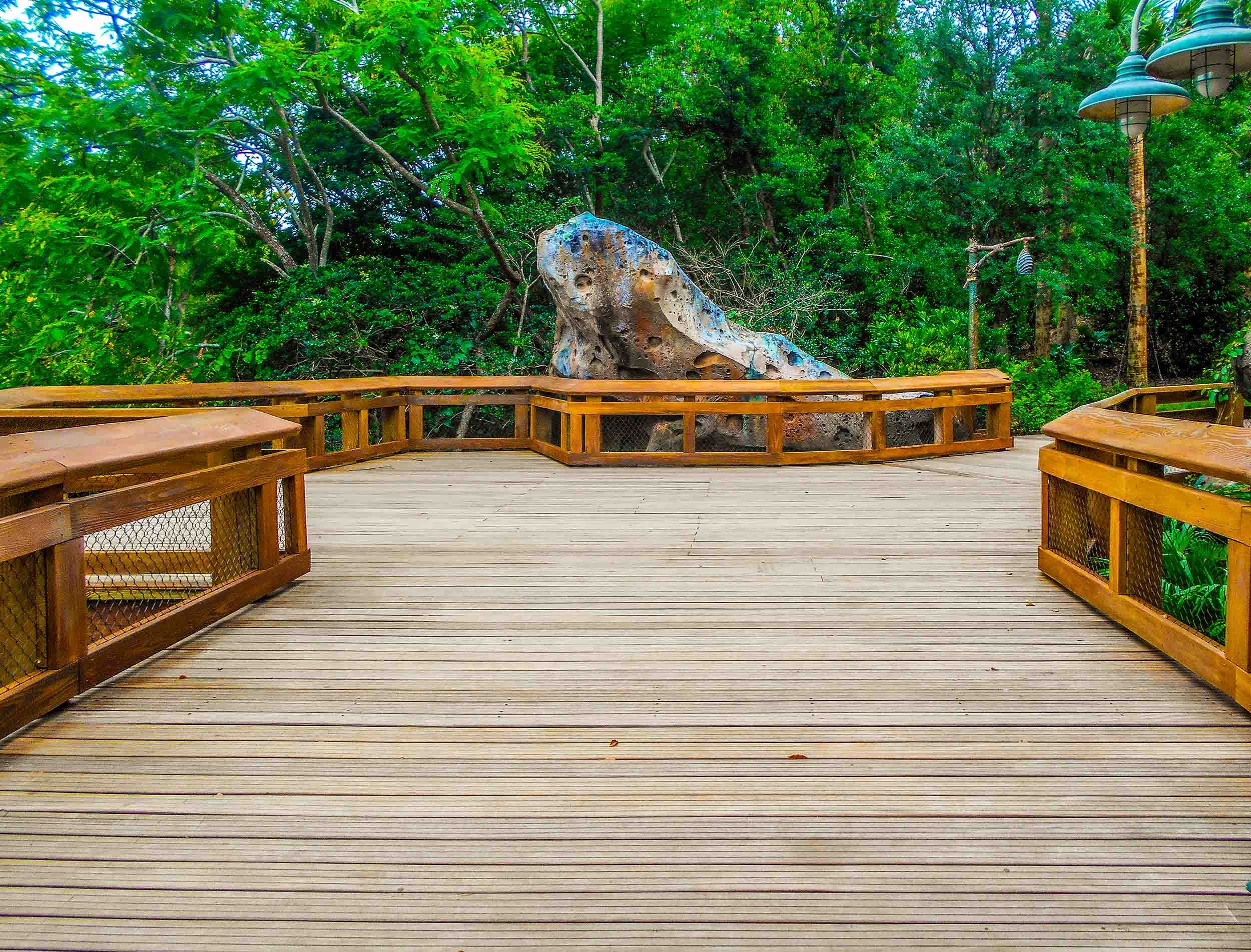 wooden bridge