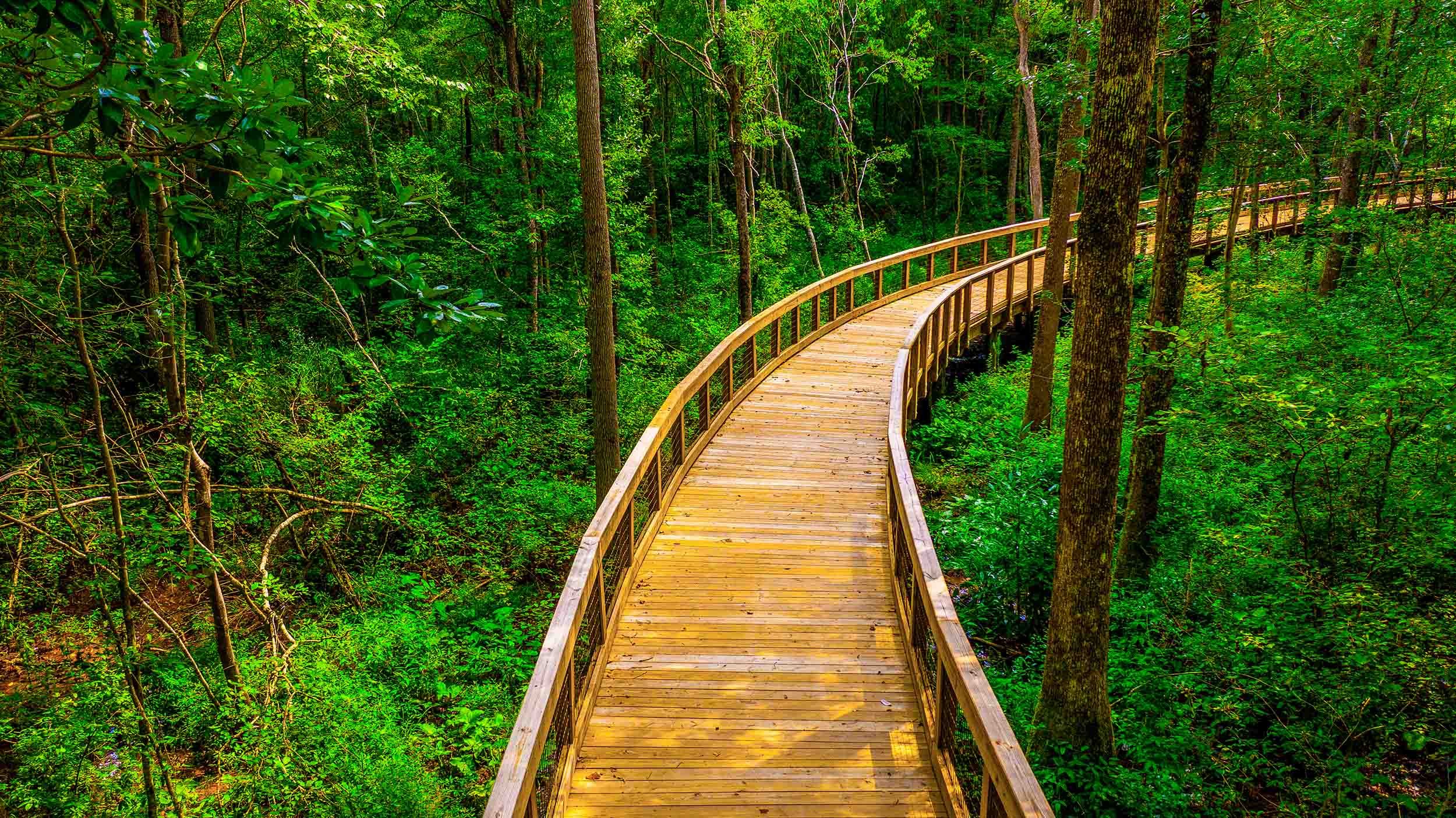 nature trail boardwalk construction company