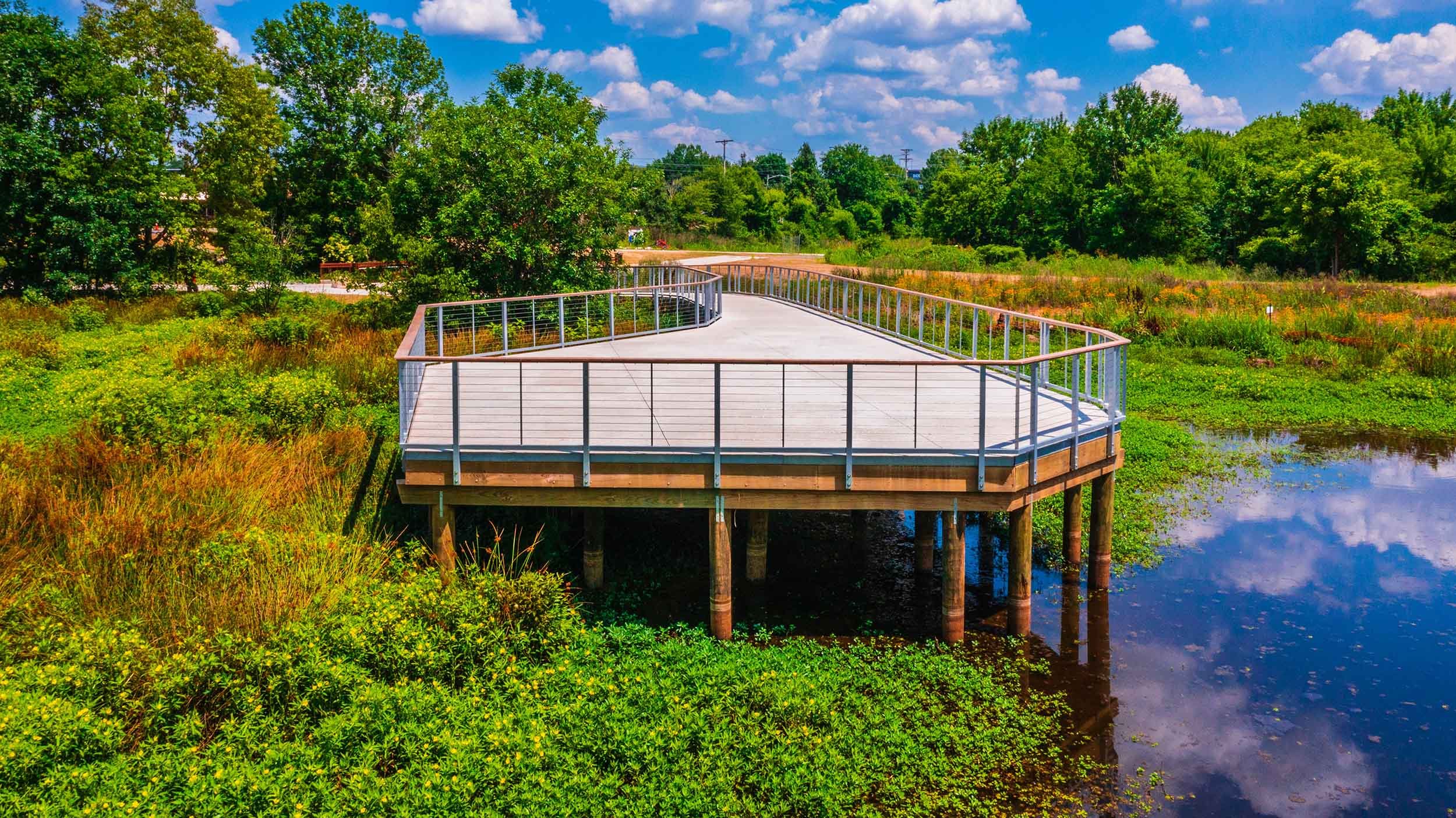 elevated timber boardwalk