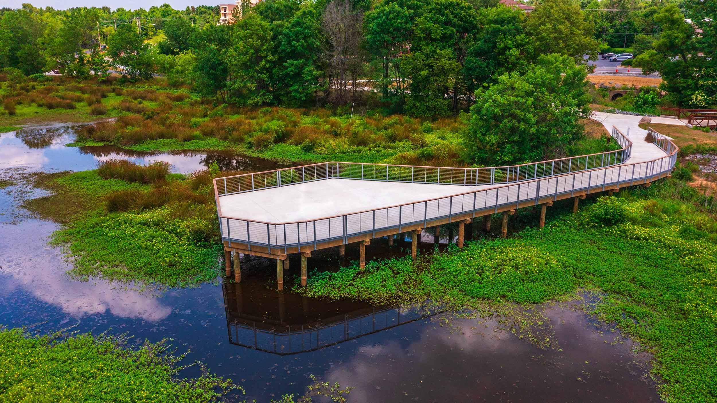 wetland boardwalk