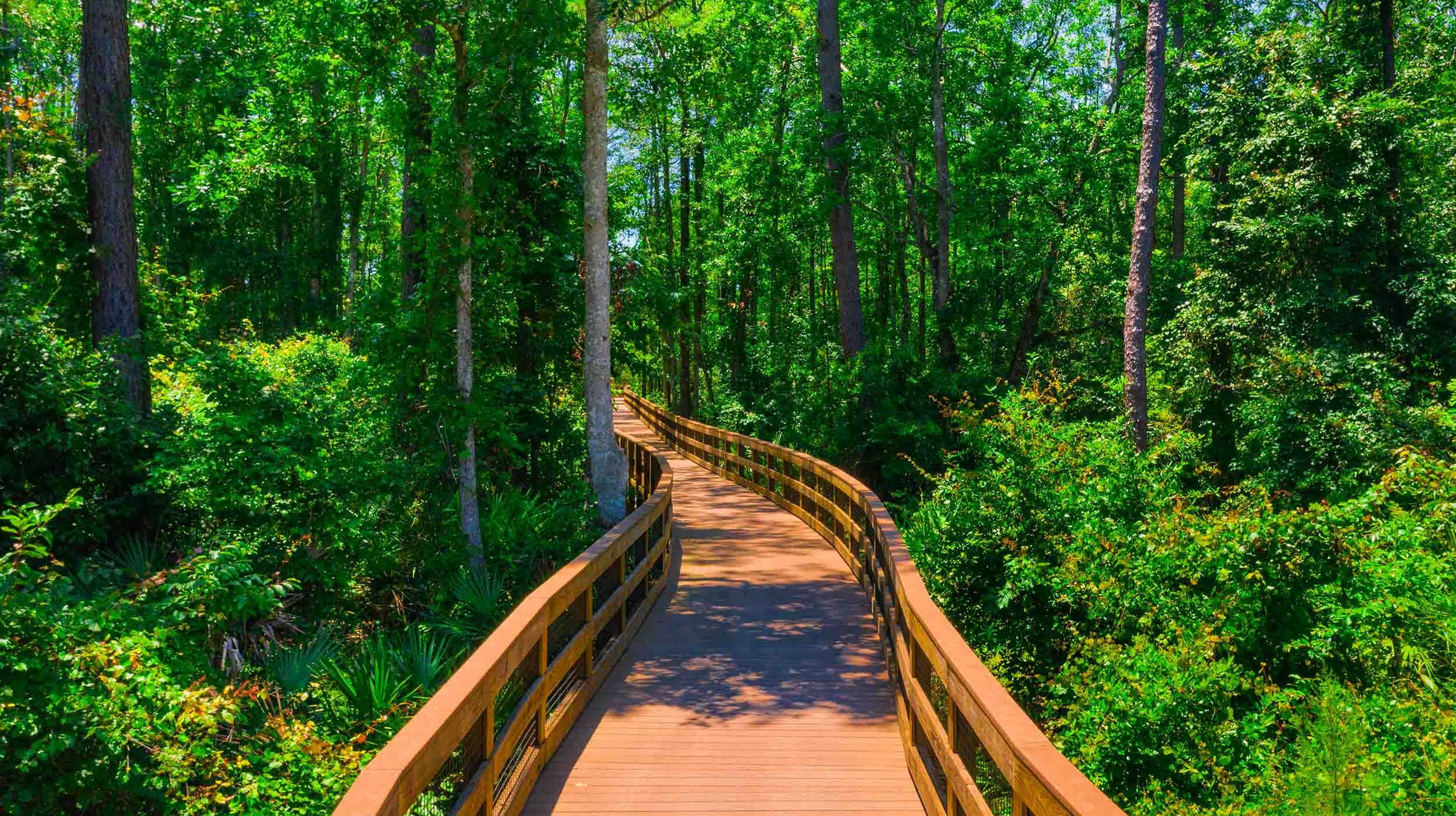 nature trail boardwalk