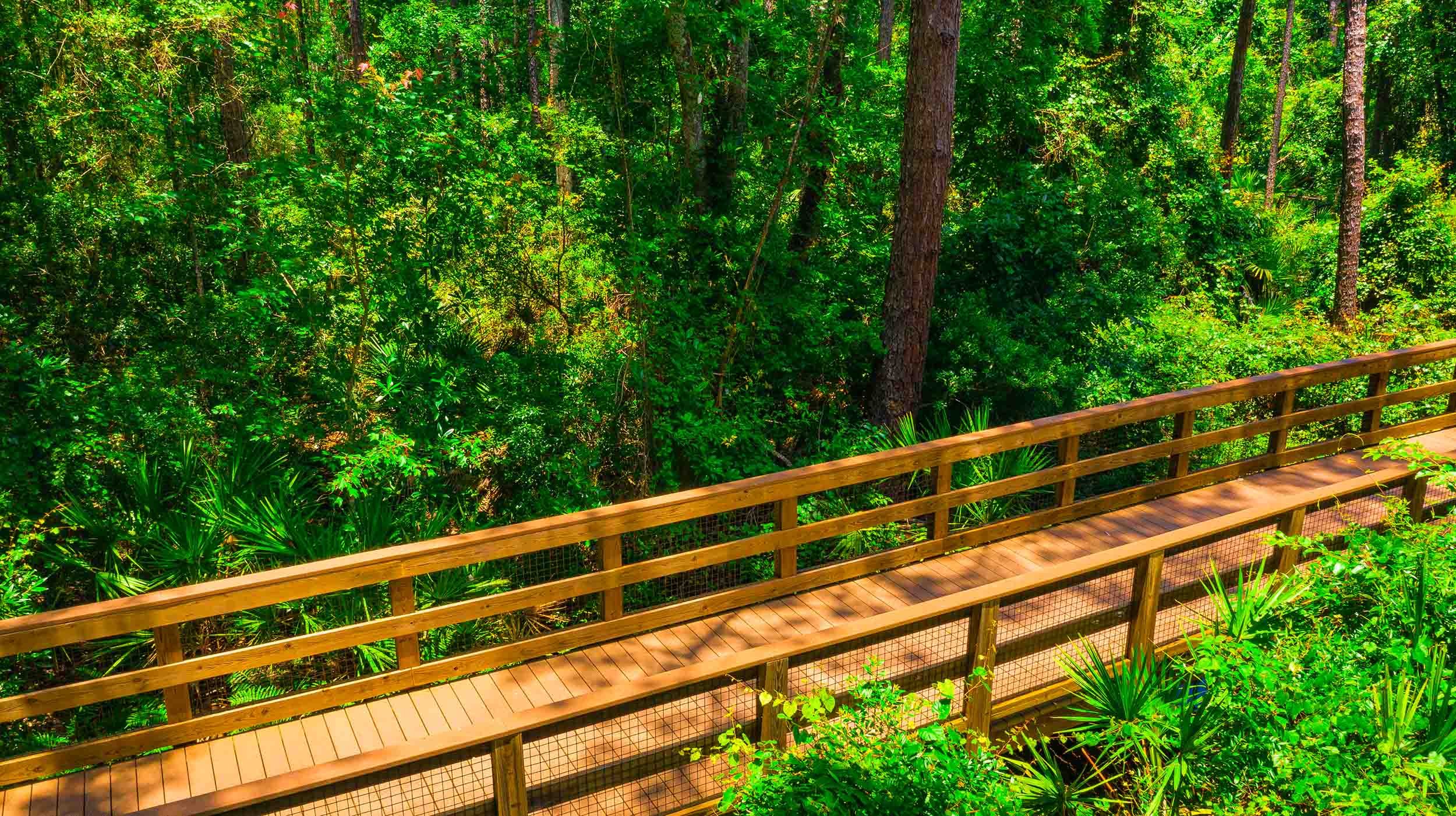 elevated boardwalk