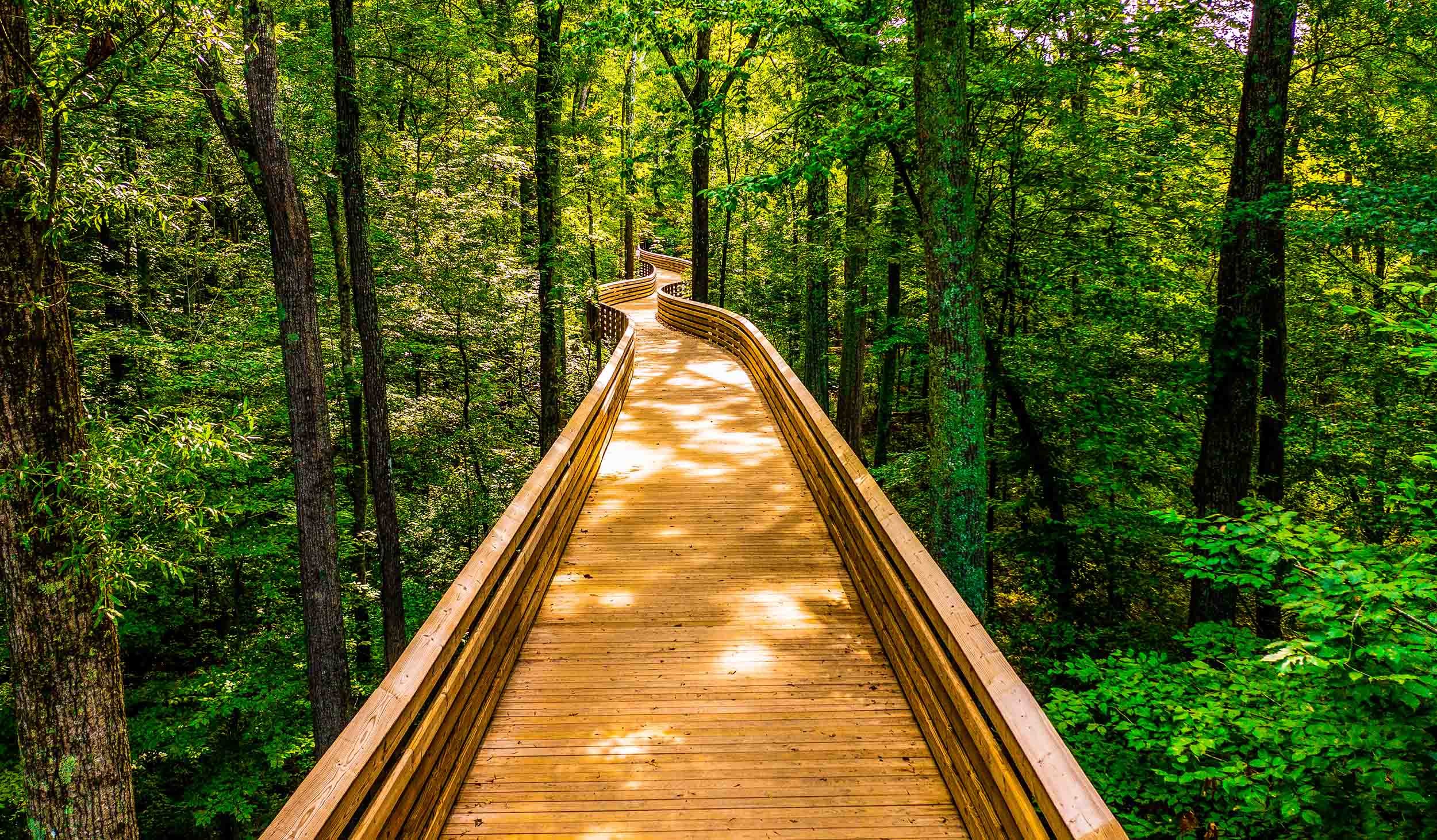nature trail boardwalk solutions