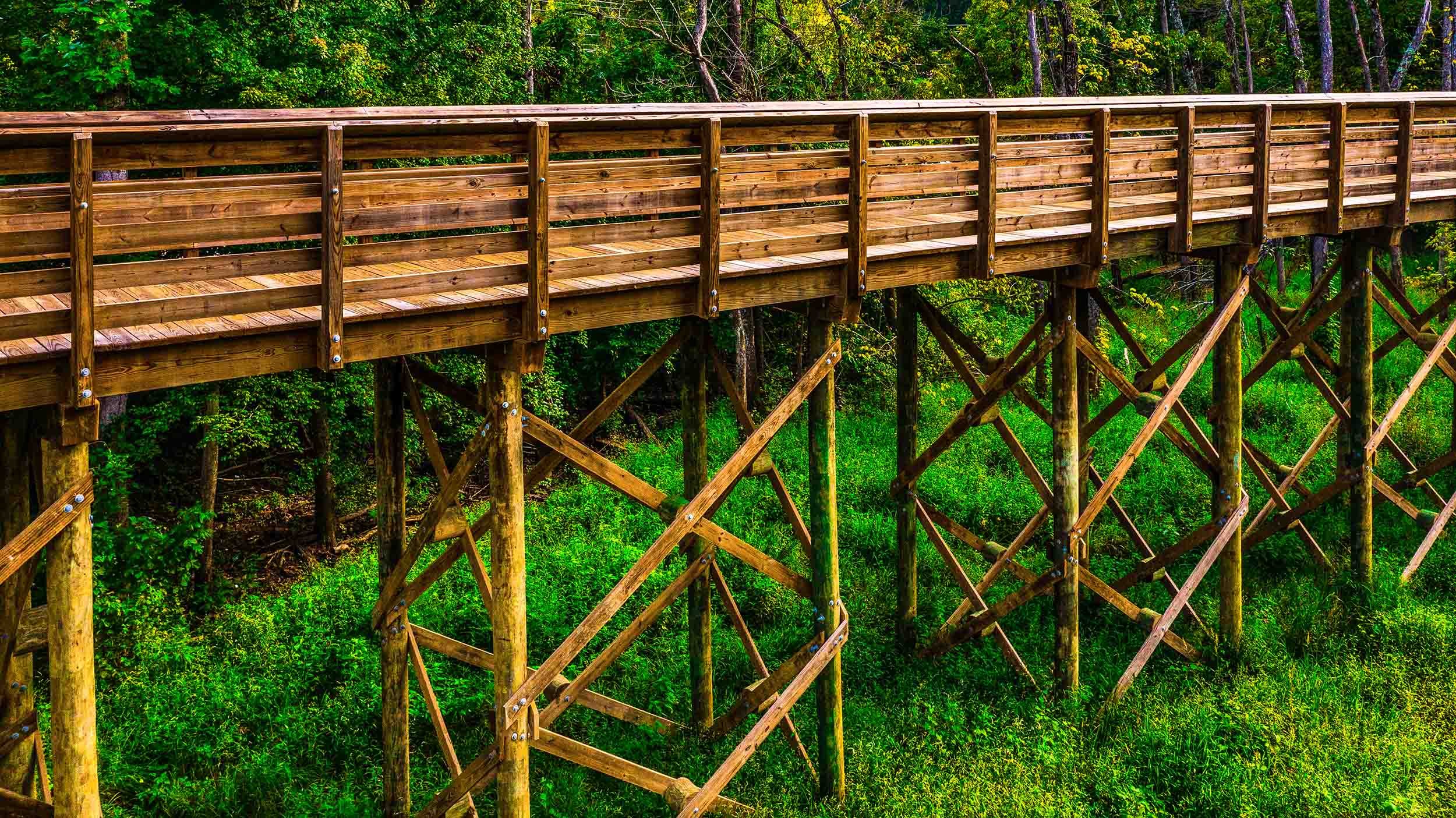 elevated timber boardwalk