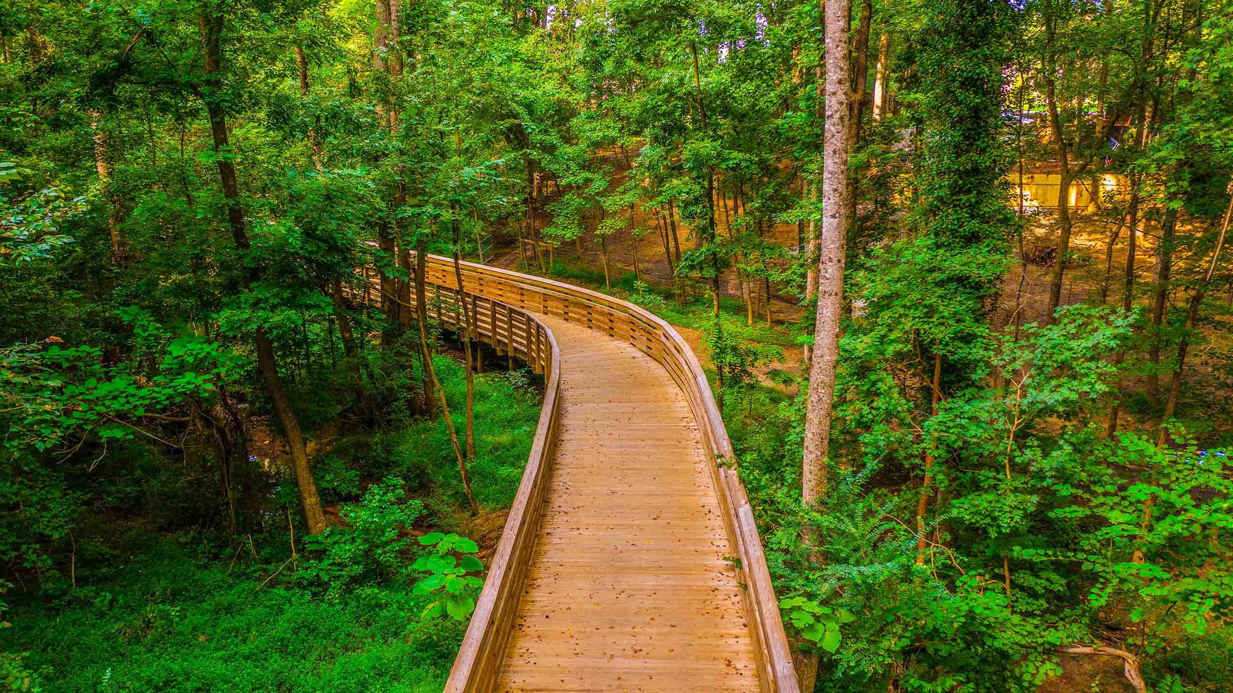 nature trail boardwalk
