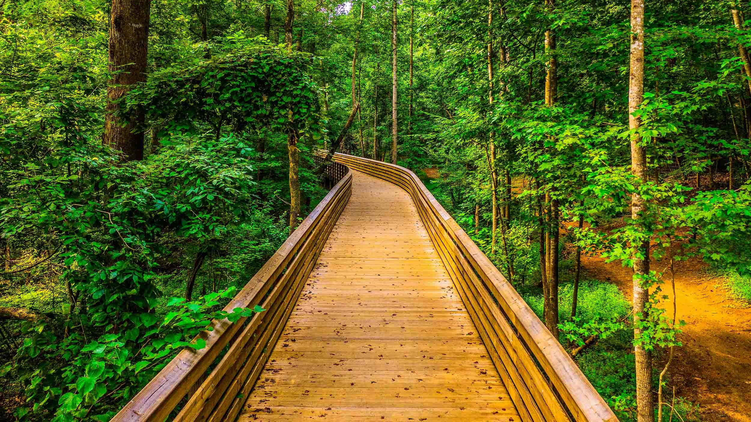 nature trail boardwalk contractor