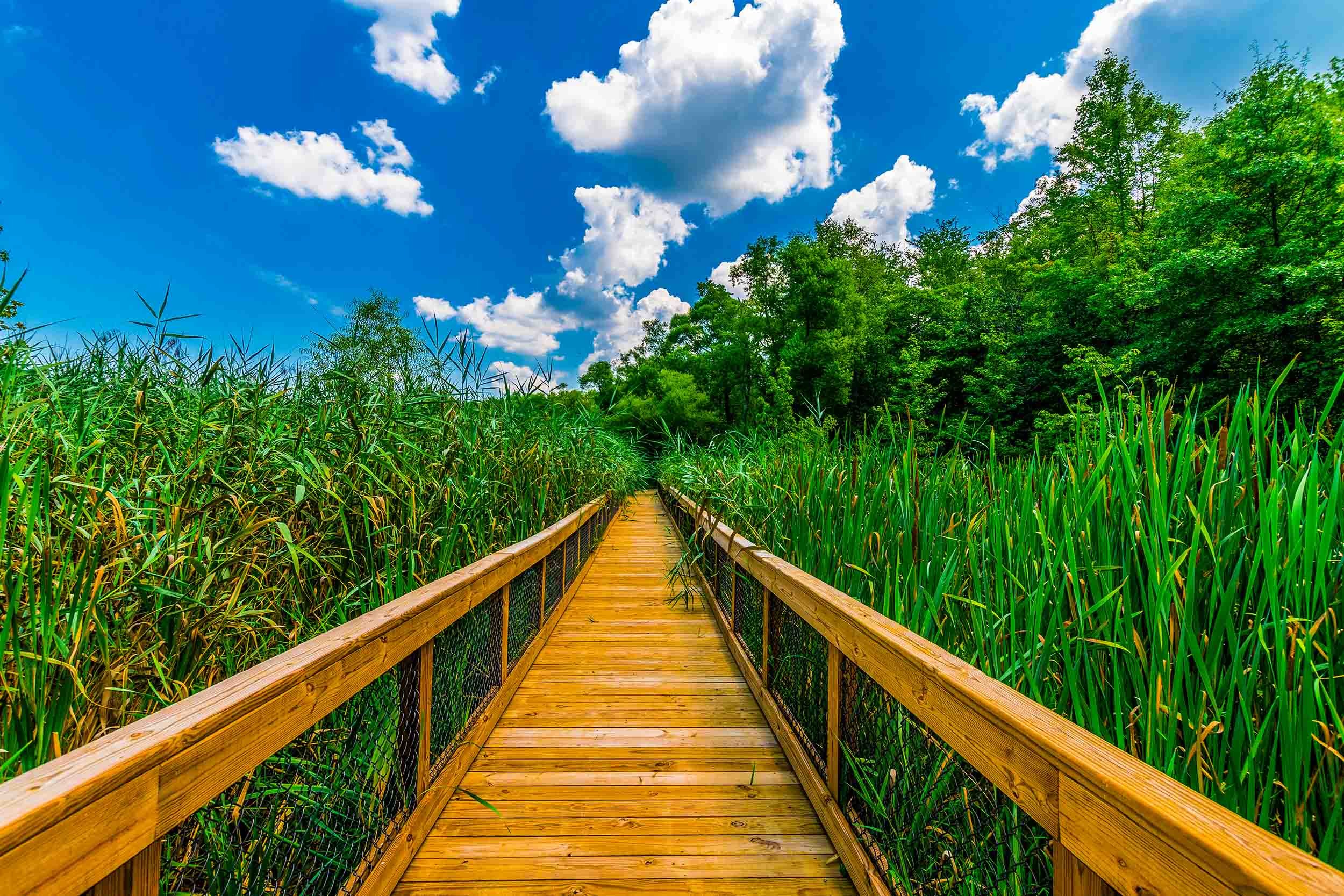 residential boardwalk solutions