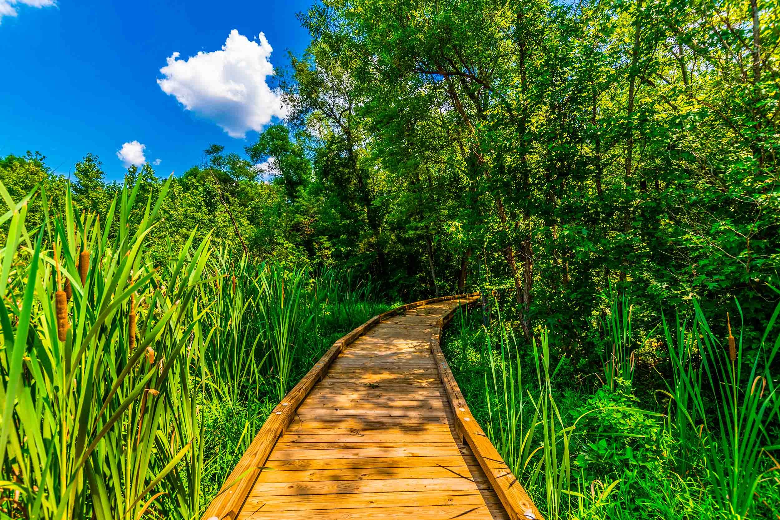 wetland boardwalk specialists