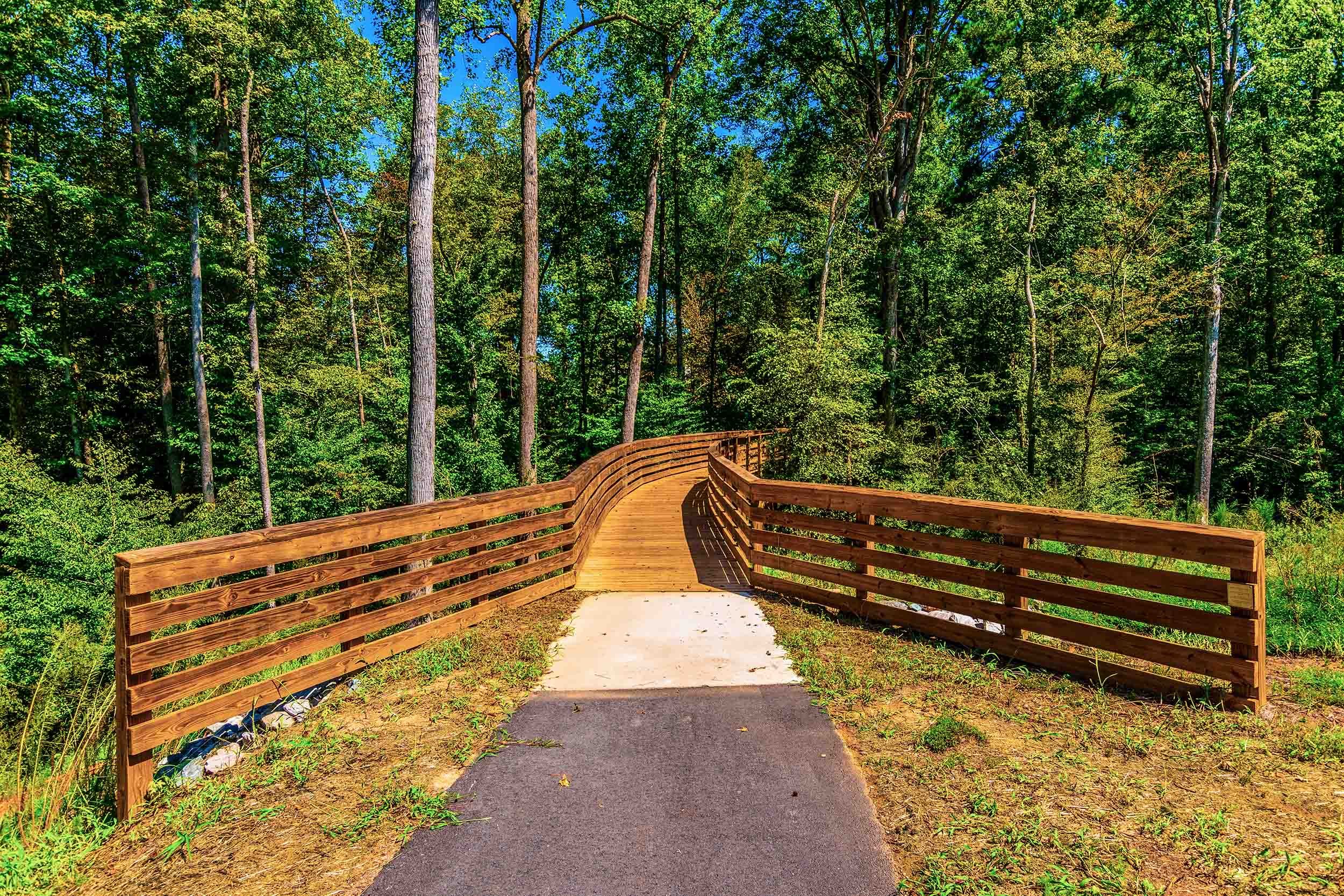 nature trail boardwalk 