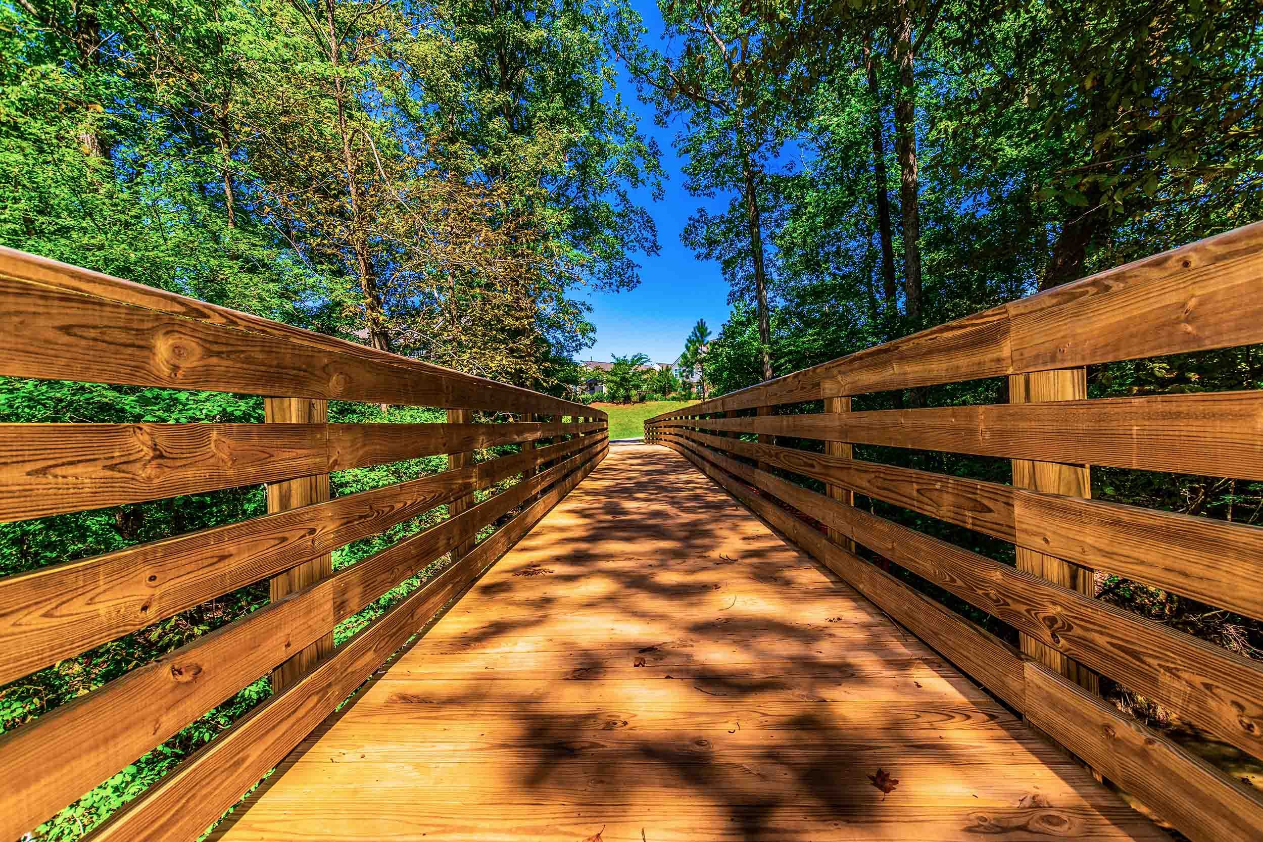 timber boardwalk