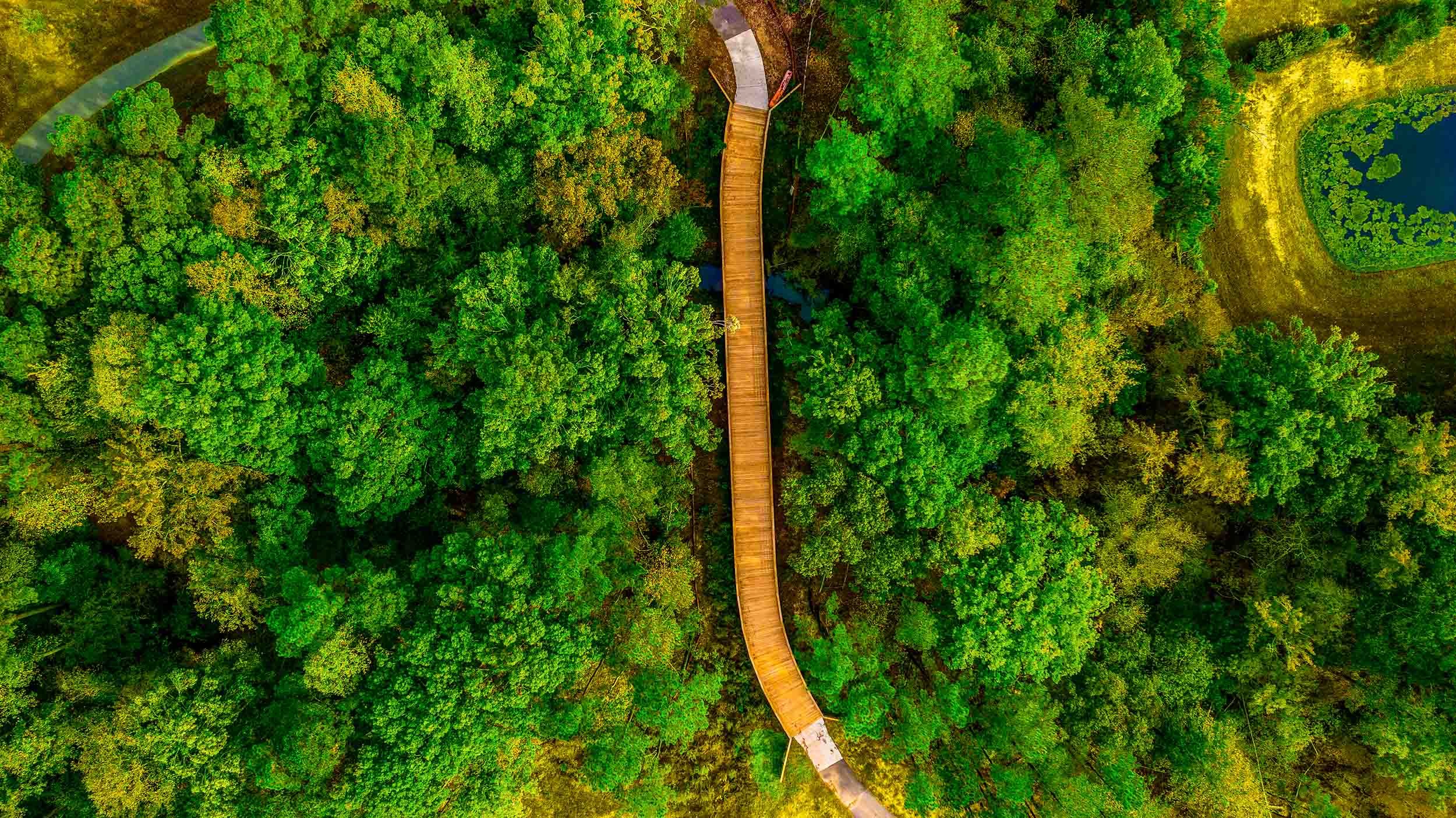 boardwalk engineering