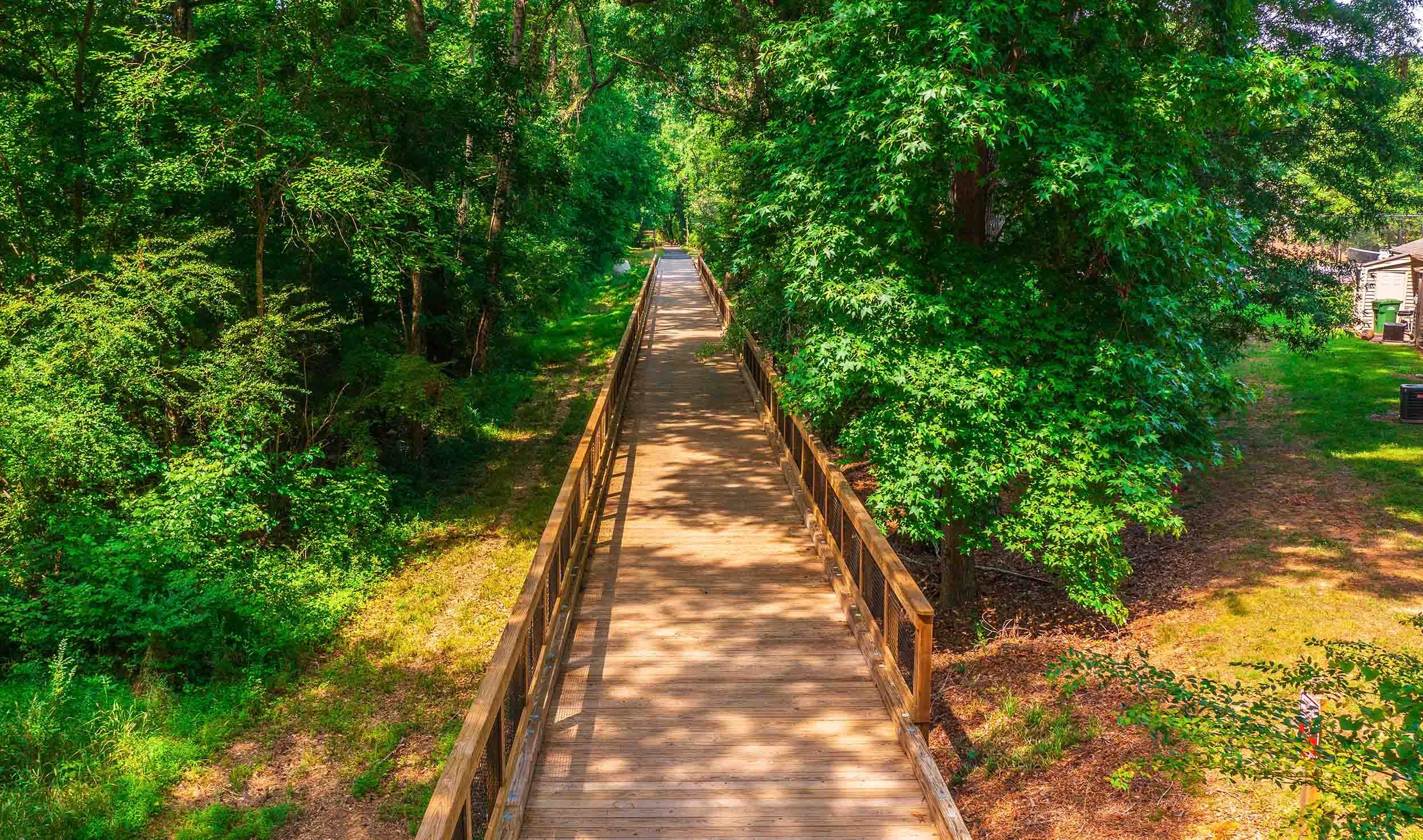 wood boardwalk