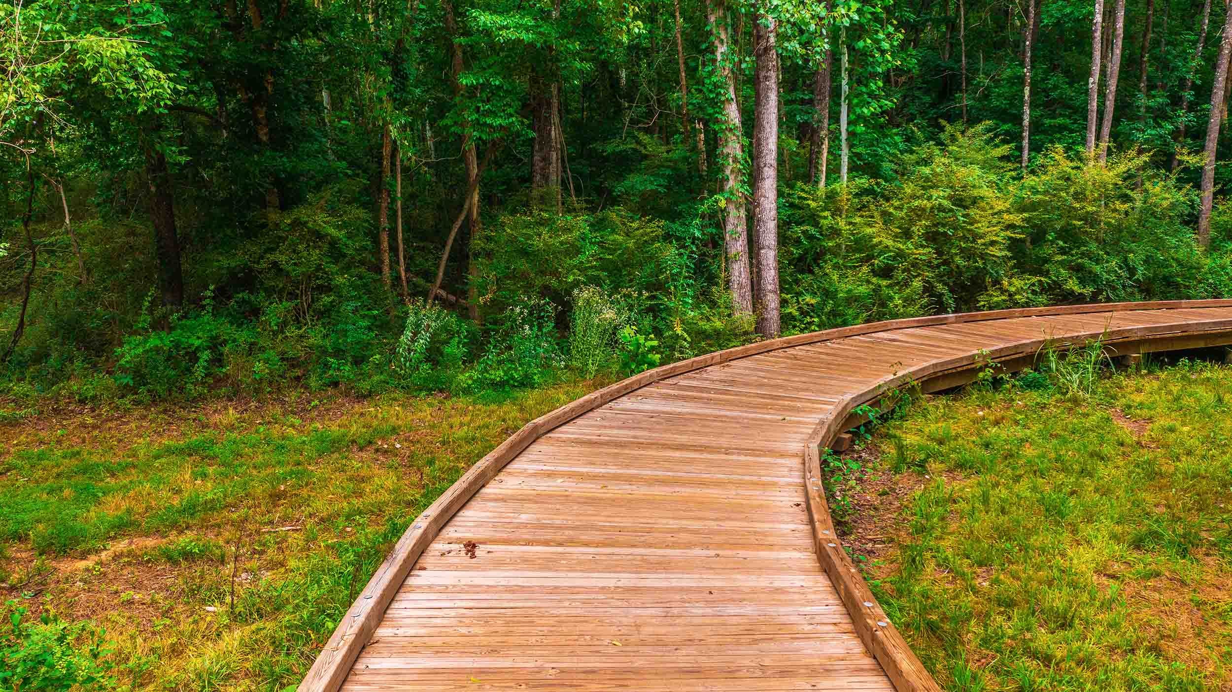 timber walkway