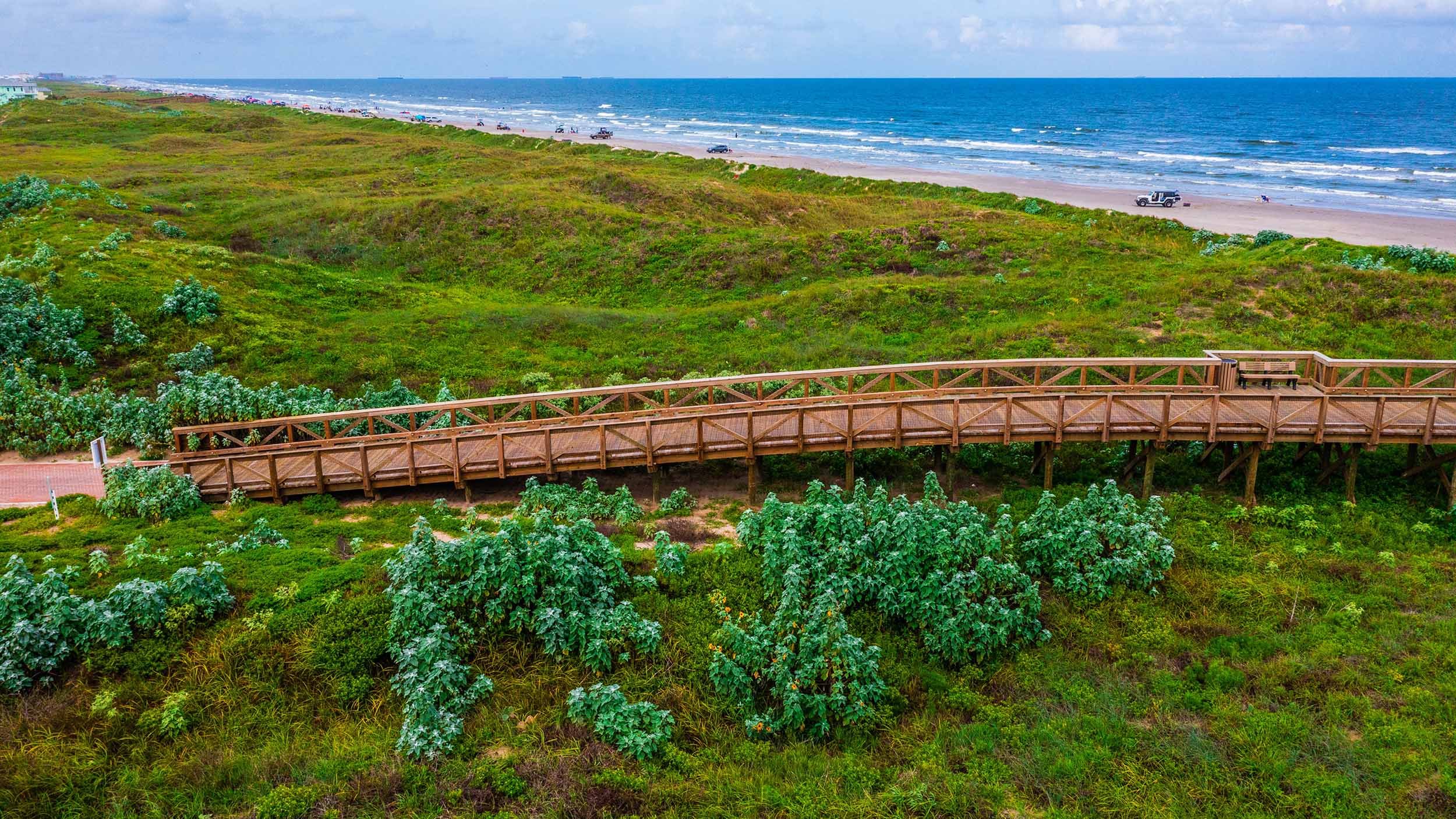 wetland boardwalk