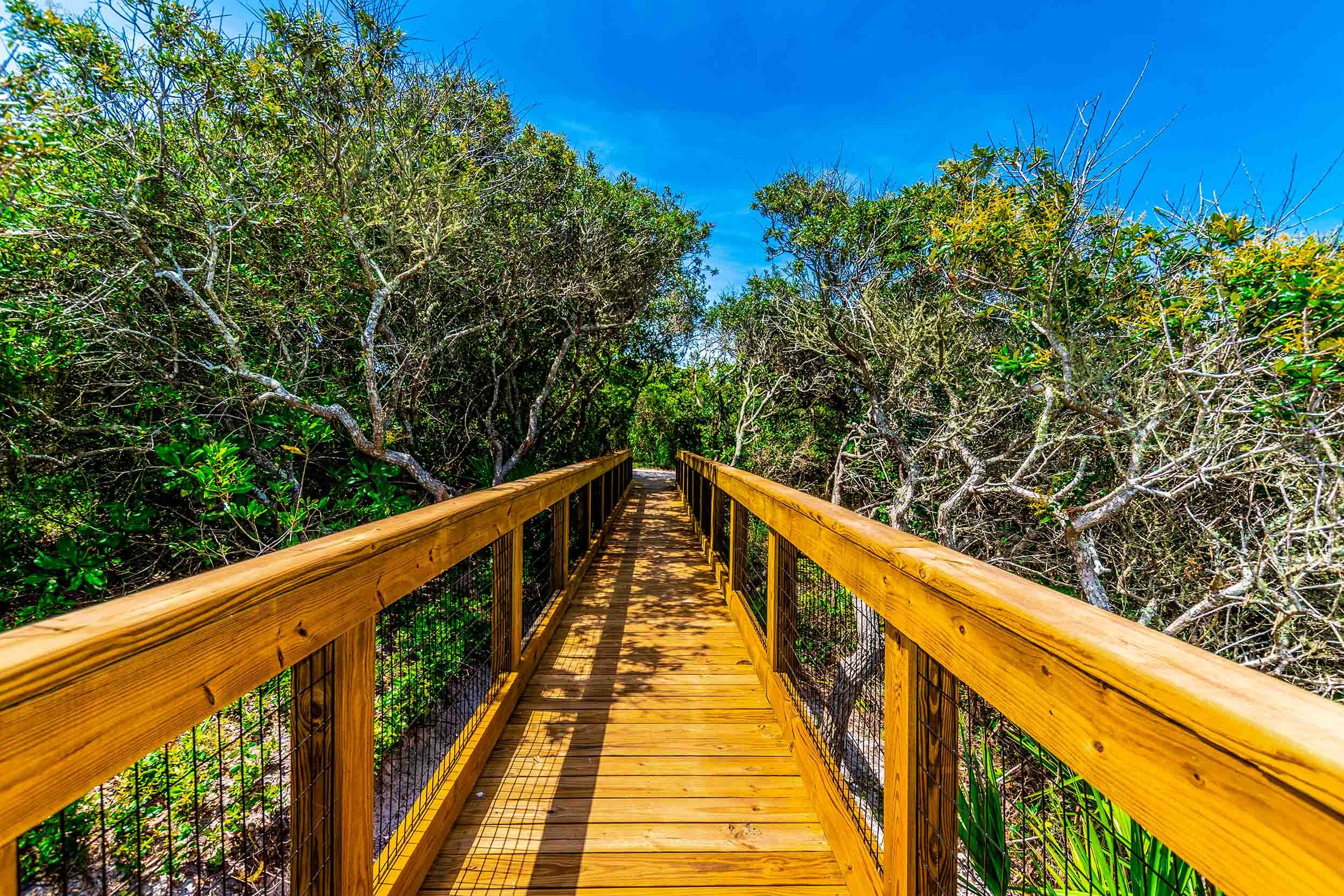 eco friendly boardwalk